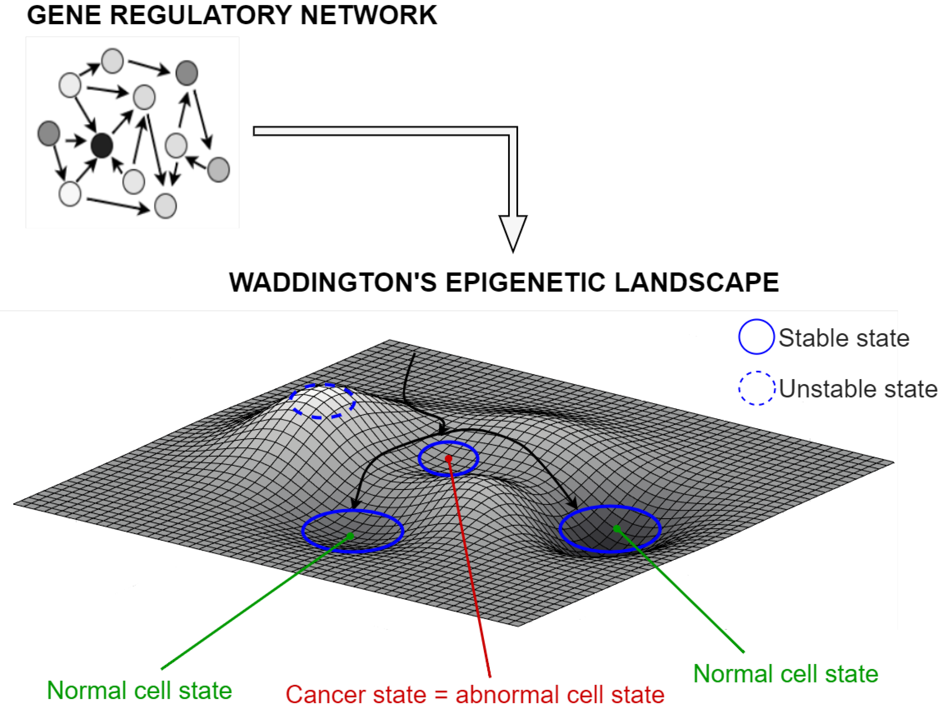 Biomolecules 12 00213 g001 Biomolecules 12 00213 g001