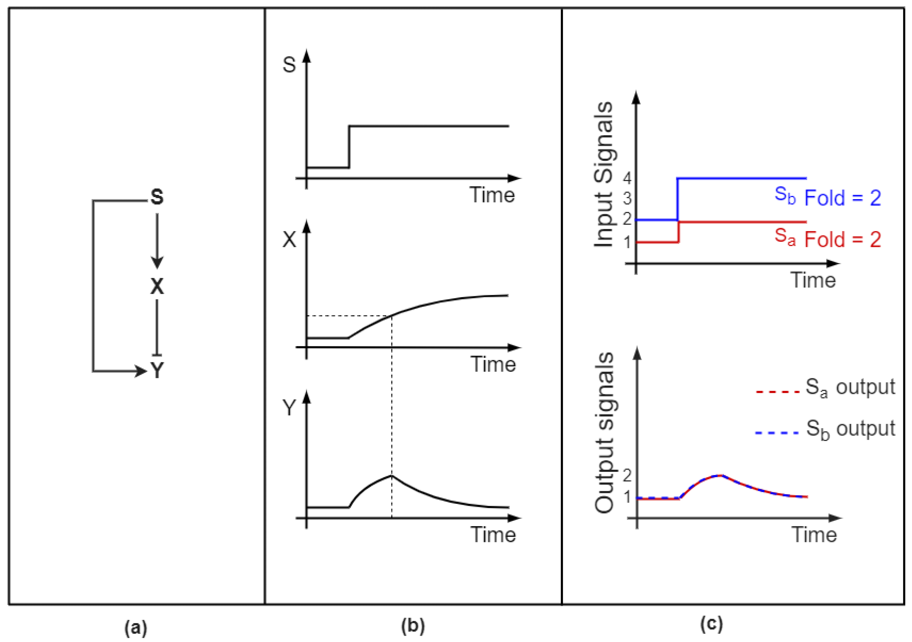 Biomolecules 12 00213 g002 Biomolecules 12 00213 g002