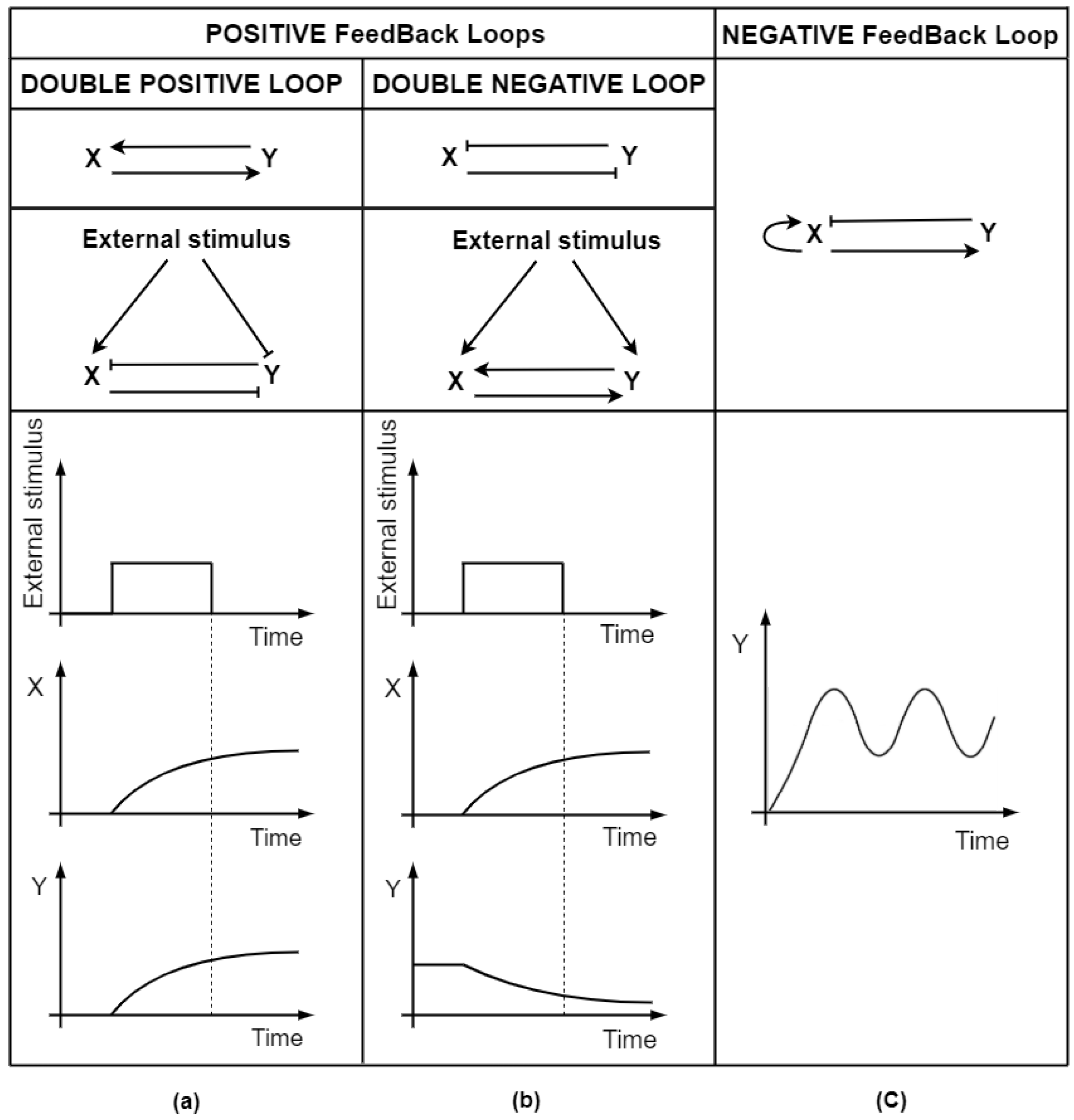 Biomolecules 12 00213 g003 Biomolecules 12 00213 g003