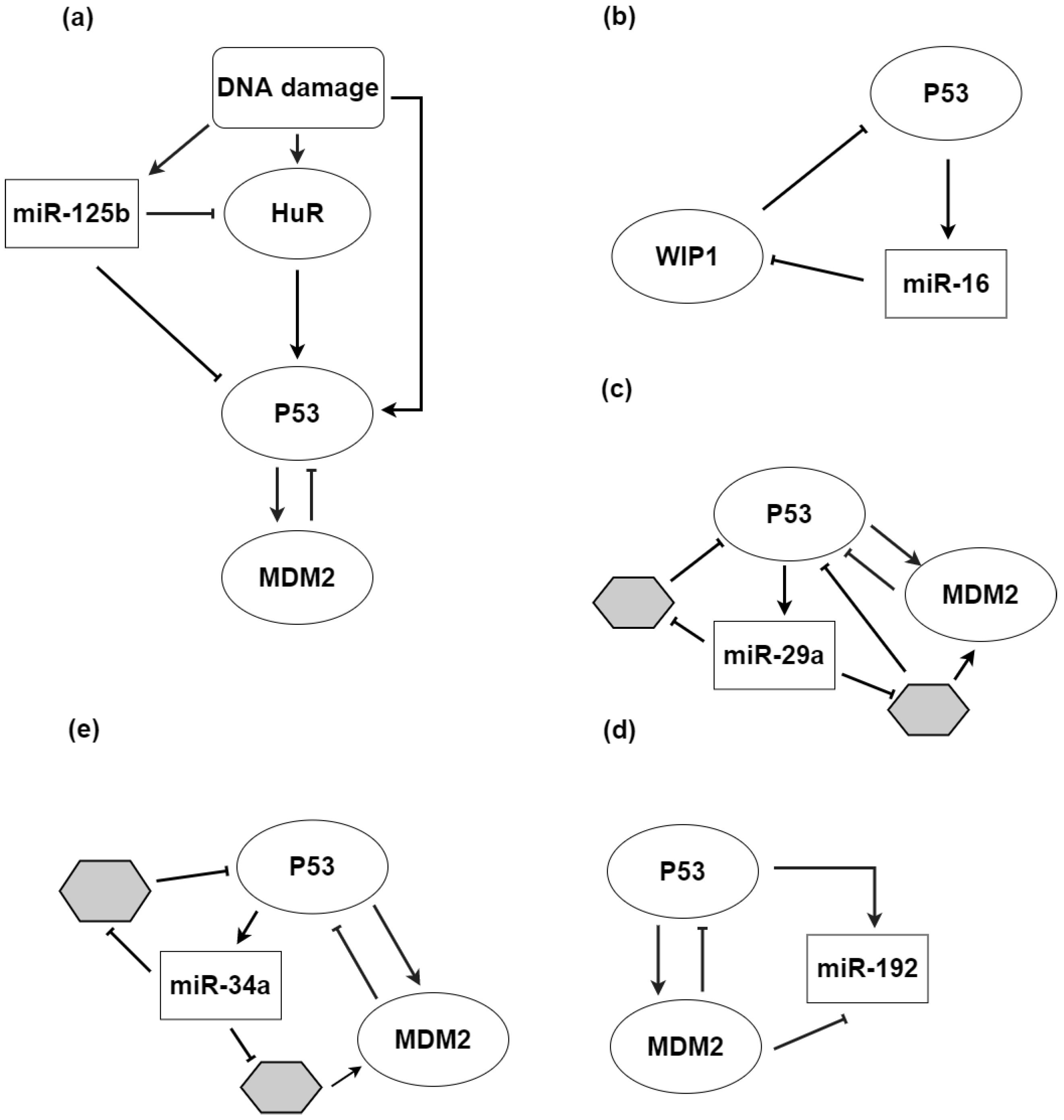 Biomolecules 12 00213 g004 Biomolecules 12 00213 g004