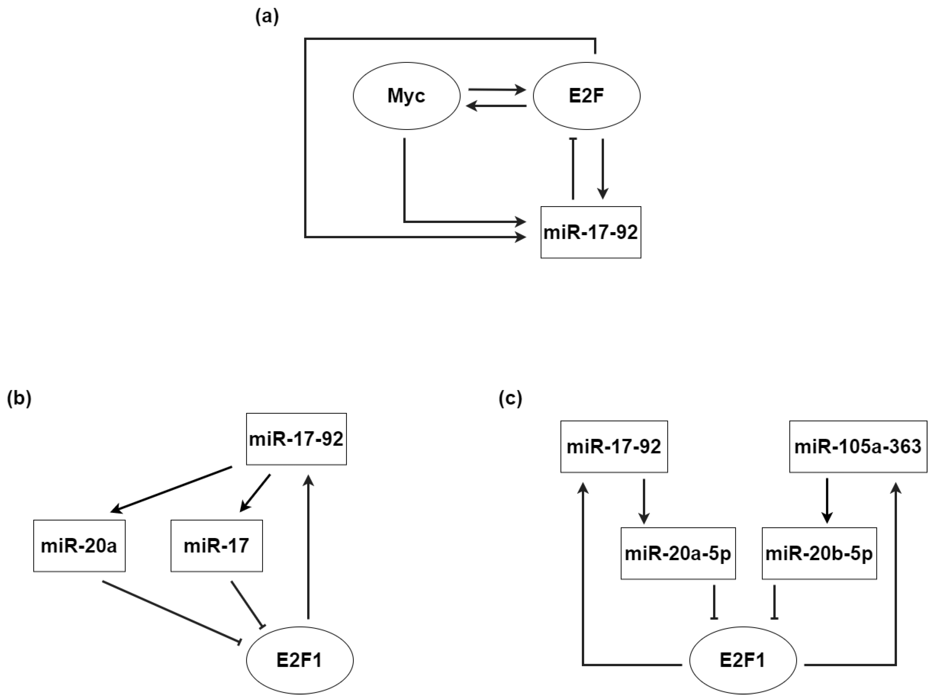 Biomolecules 12 00213 g005 Biomolecules 12 00213 g005
