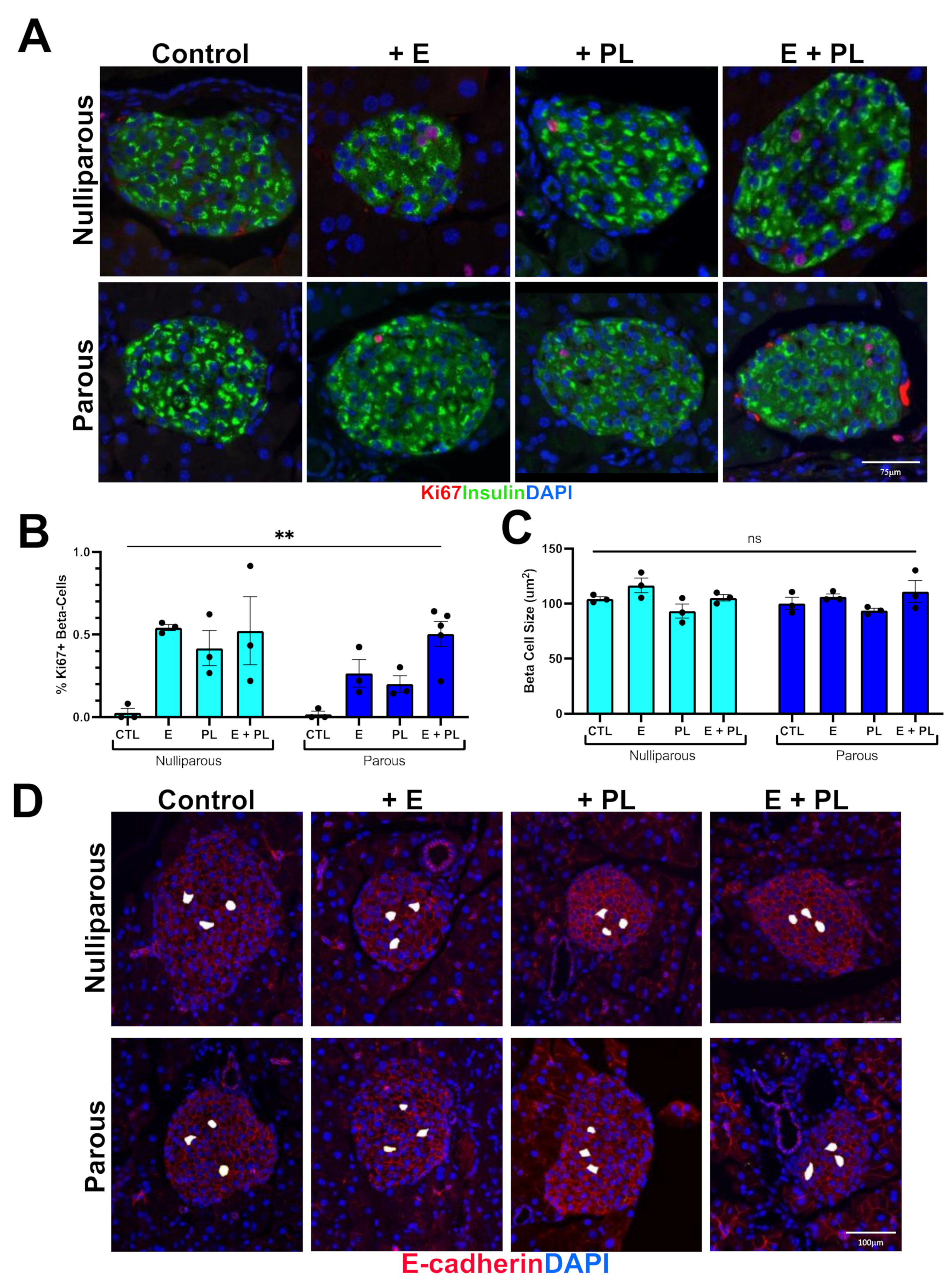 Biomolecules 12 00215 g002