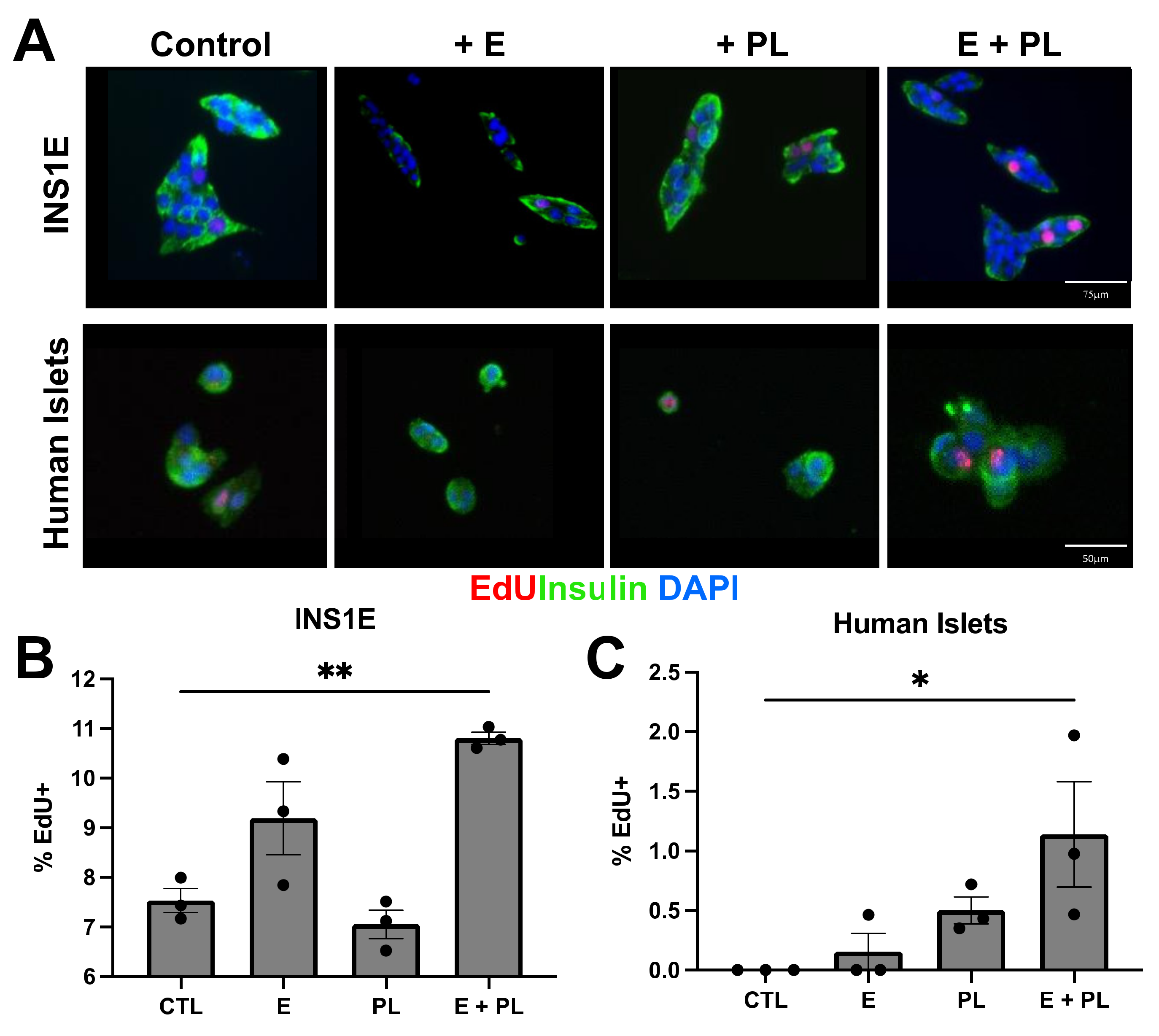Biomolecules 12 00215 g004