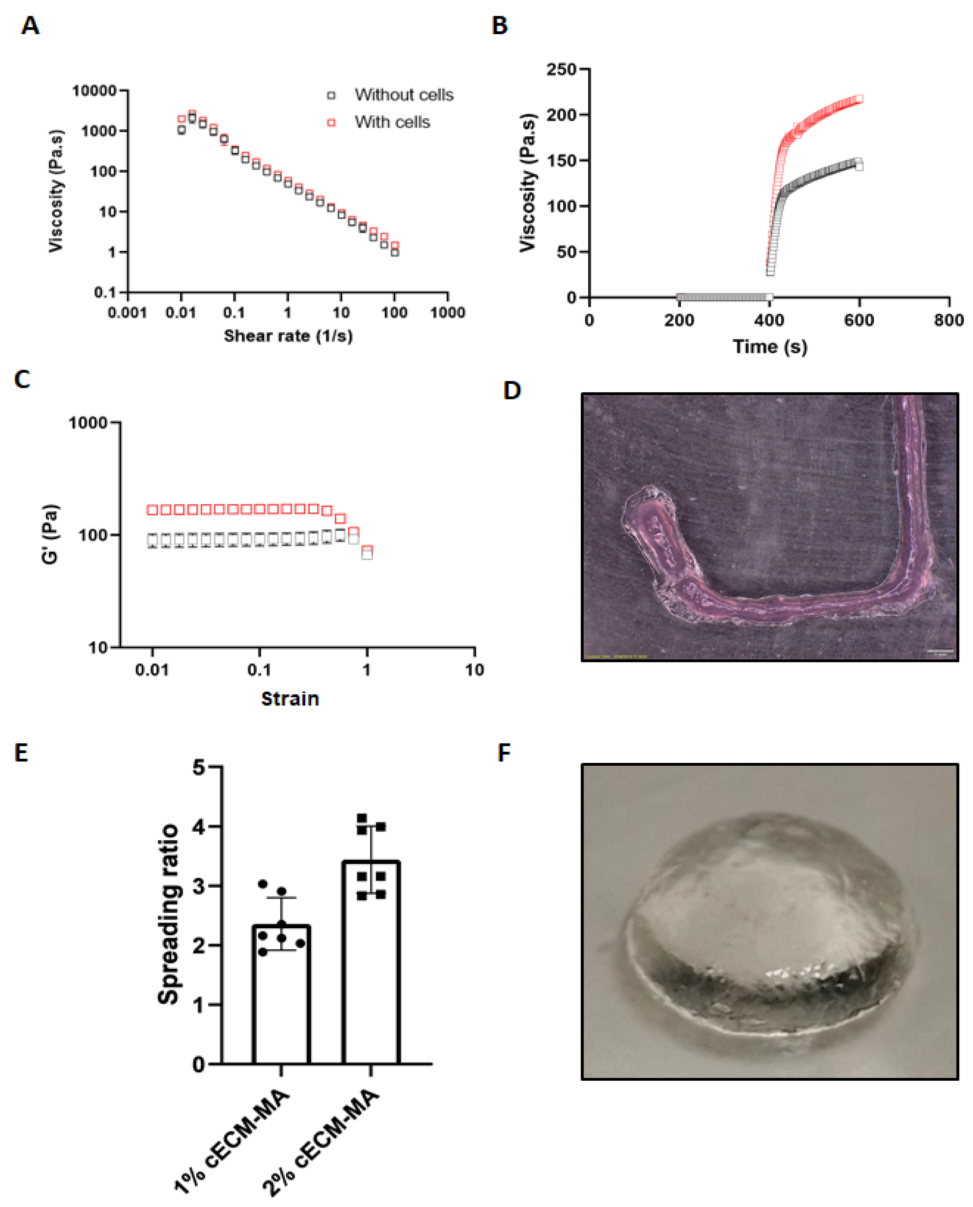Biomolecules 12 00216 g004