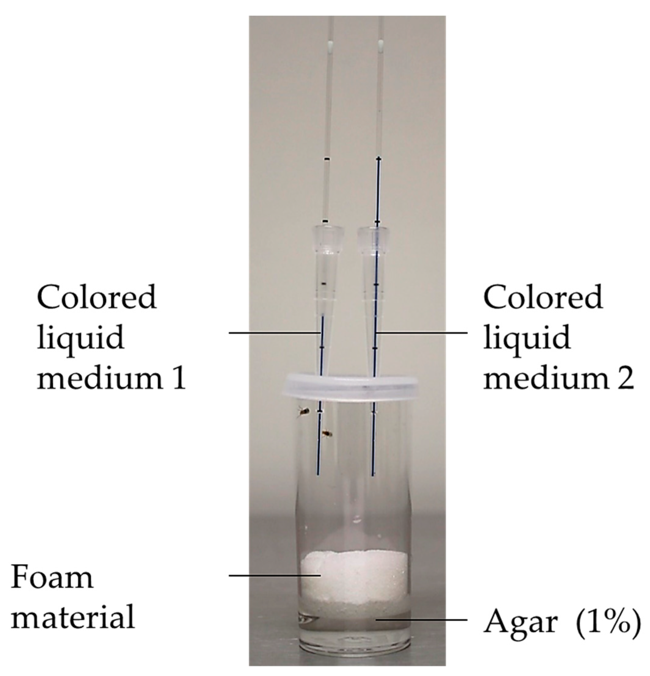 Biomolecules 12 00221 g006 Biomolecules 12 00221 g006