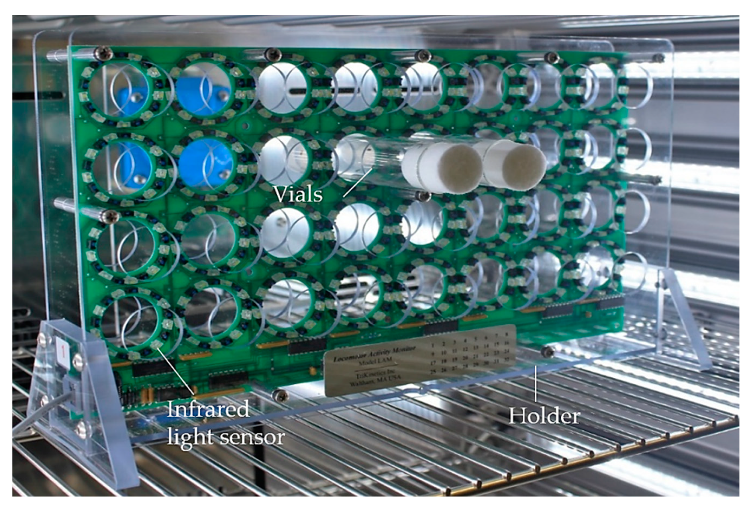 Biomolecules 12 00221 g009 Biomolecules 12 00221 g009