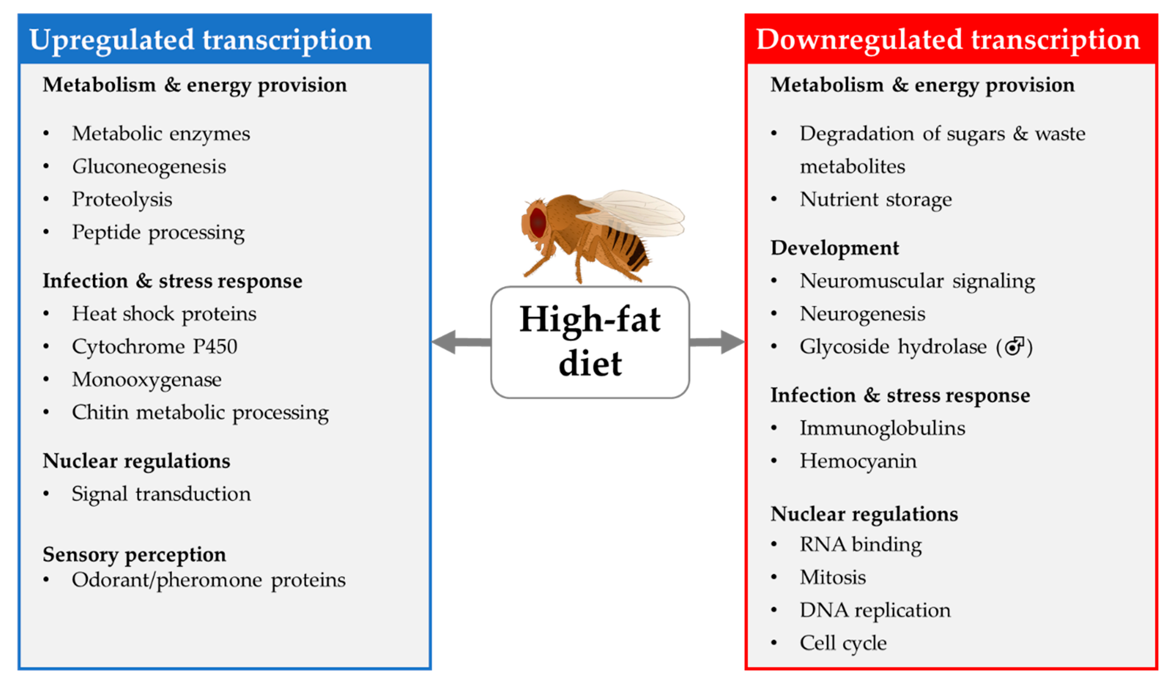 Biomolecules 12 00221 g013 Biomolecules 12 00221 g013