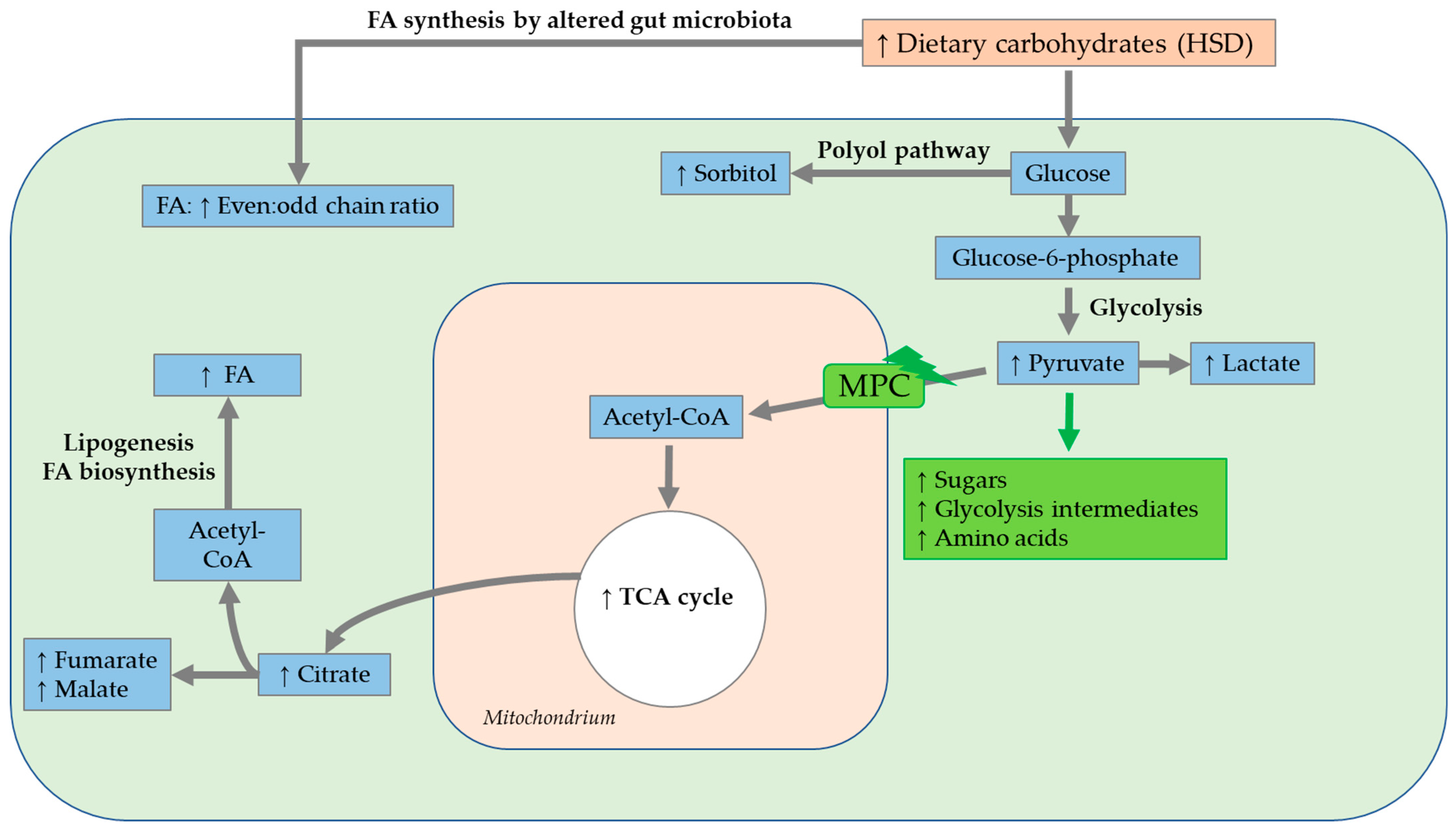 Biomolecules 12 00221 g014 Biomolecules 12 00221 g014
