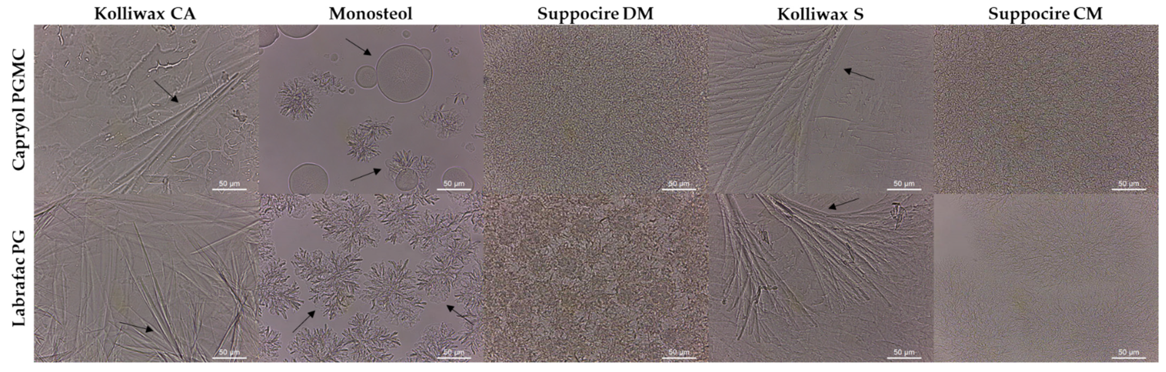 Biomolecules 12 00223 g004 550