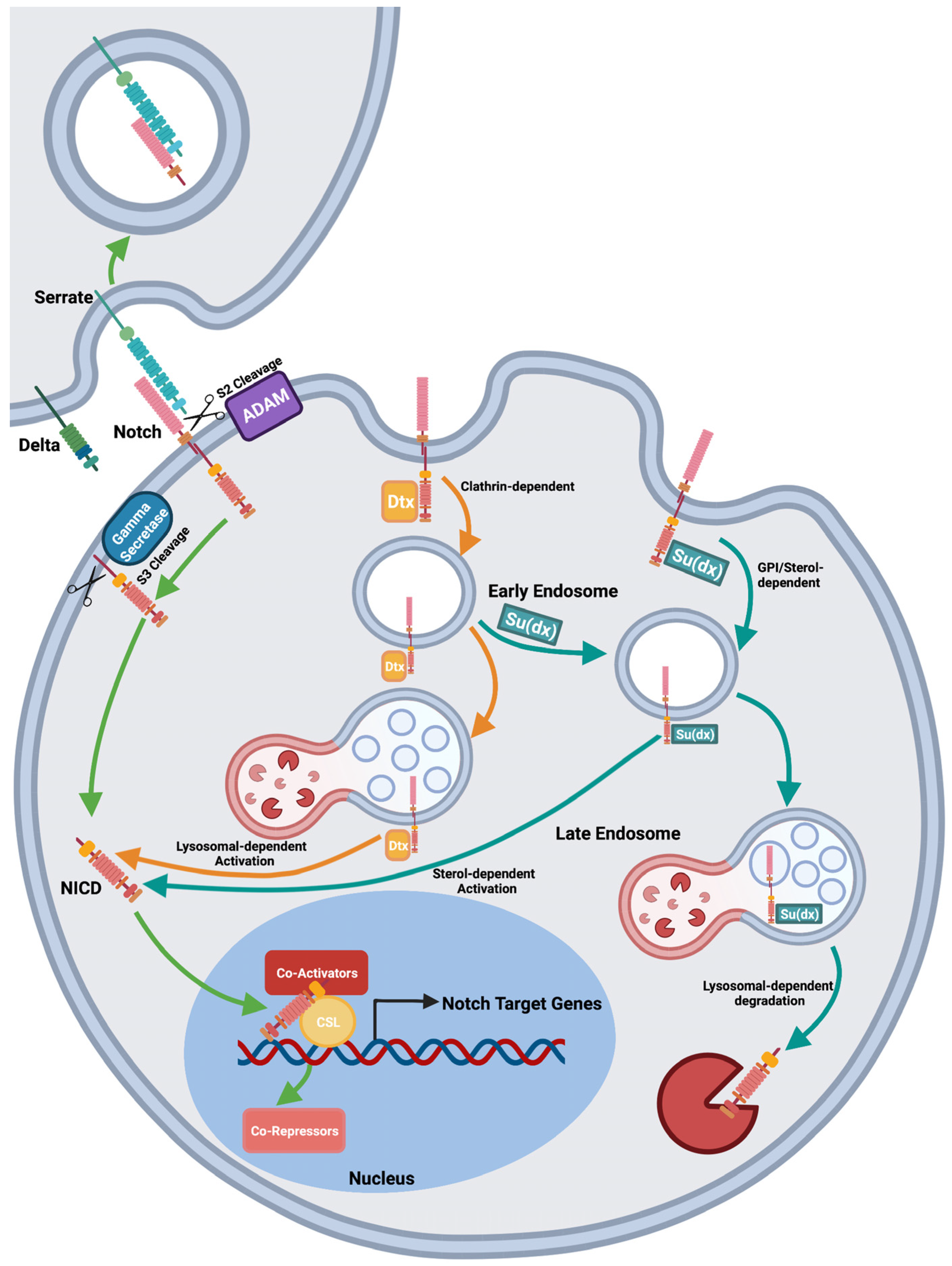 Biomolecules 12 00224 g001 Biomolecules 12 00224 g001