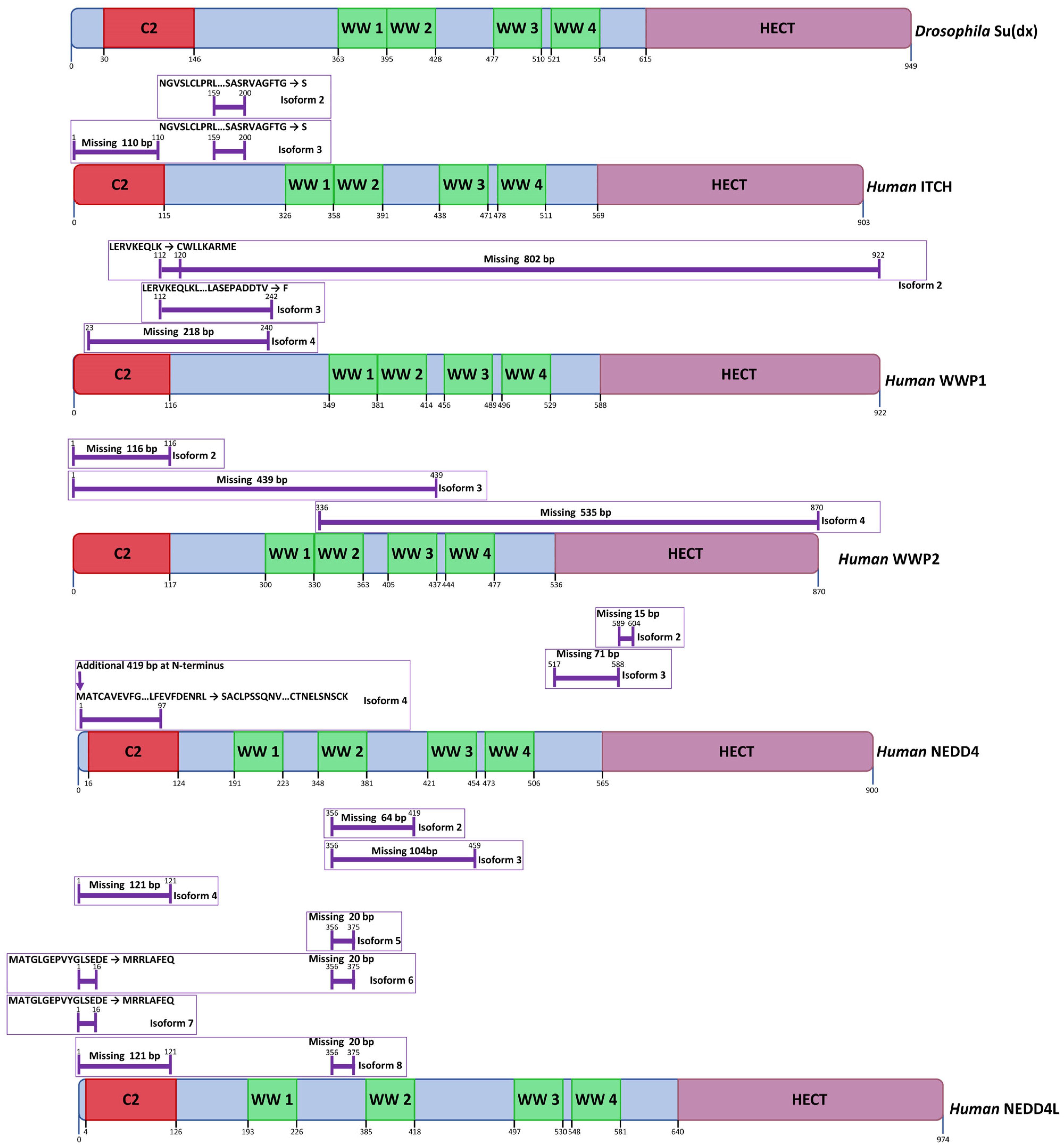 Biomolecules 12 00224 g003 Biomolecules 12 00224 g003