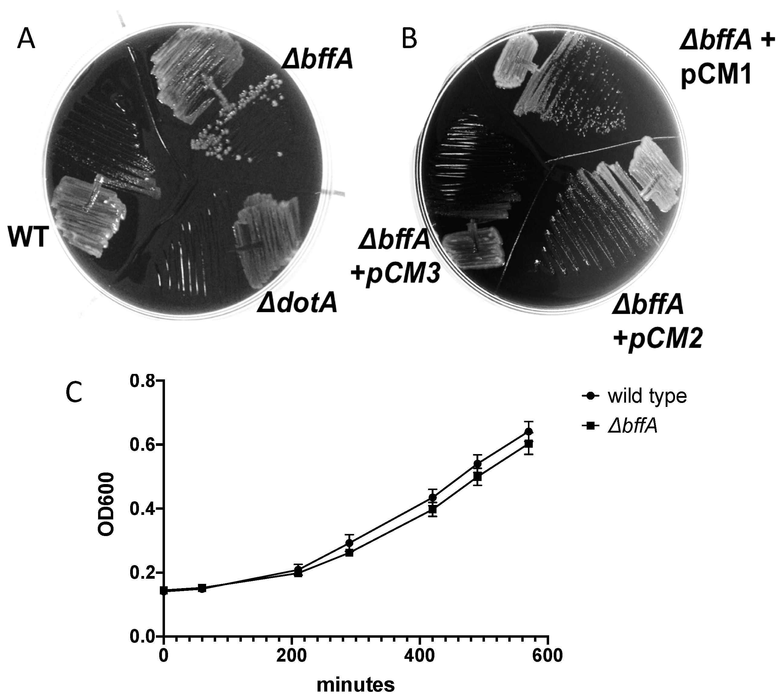 Biomolecules 12 00225 g001 550