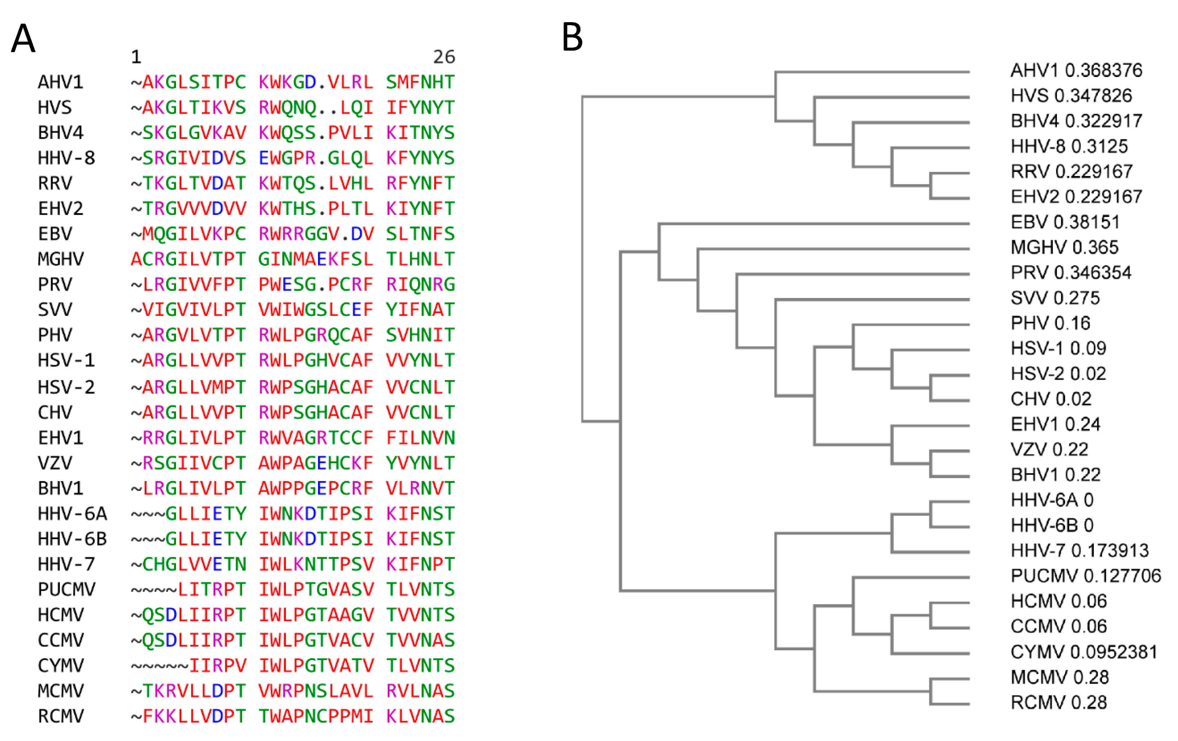 Viral dUTPases: Modulators of Innate Immunity