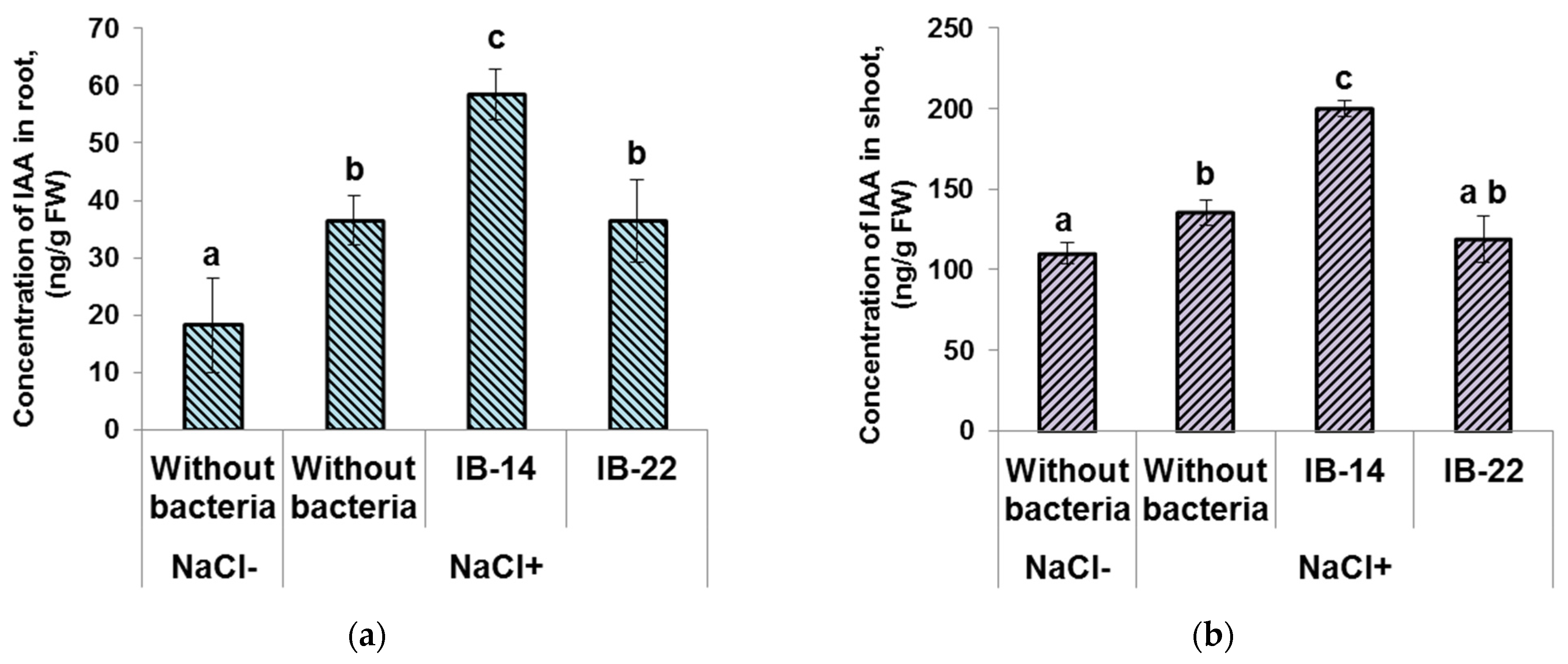 Biomolecules 12 00230 g003