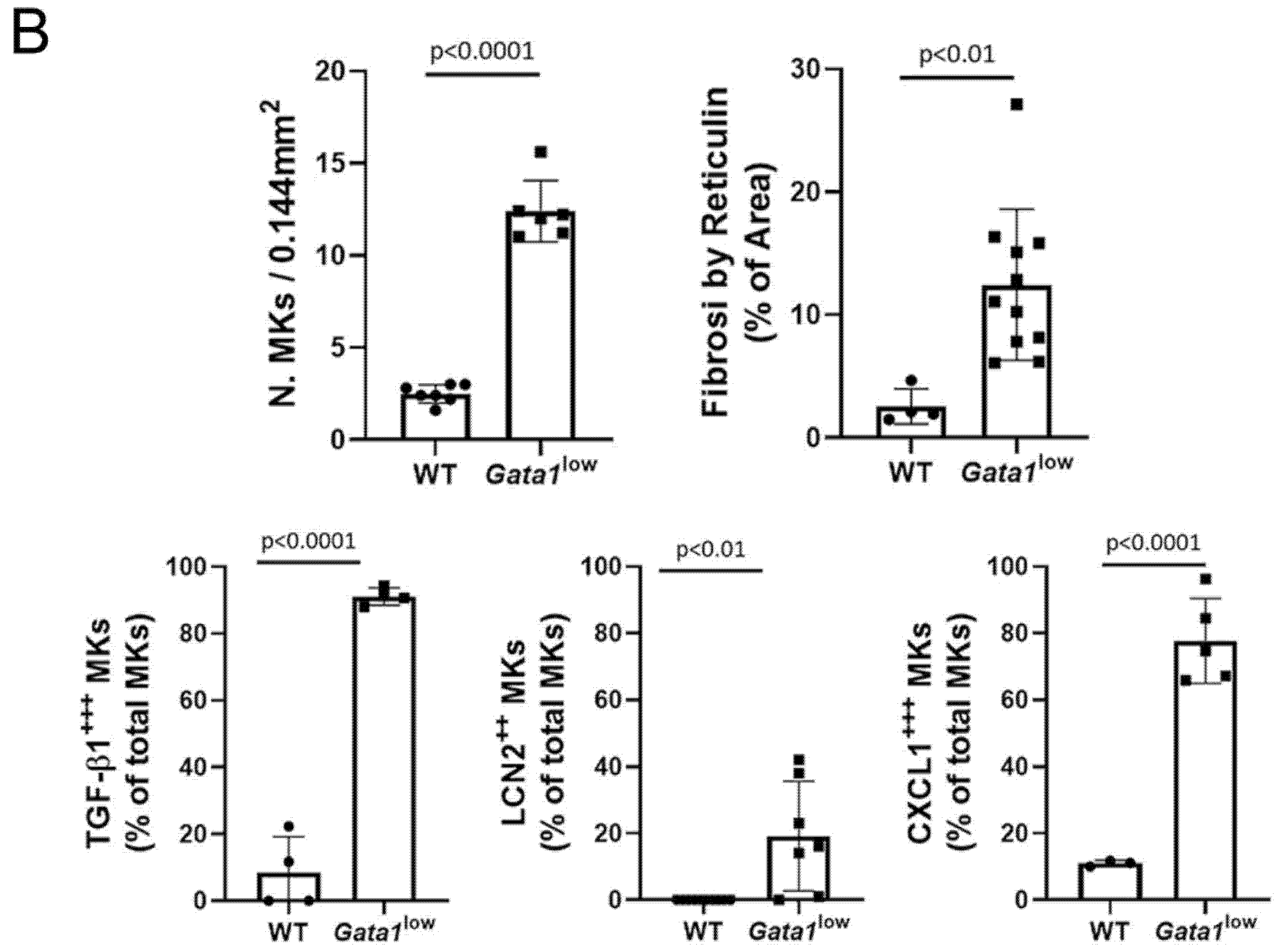 Biomolecules 12 00234 g005b Biomolecules 12 00234 g005b