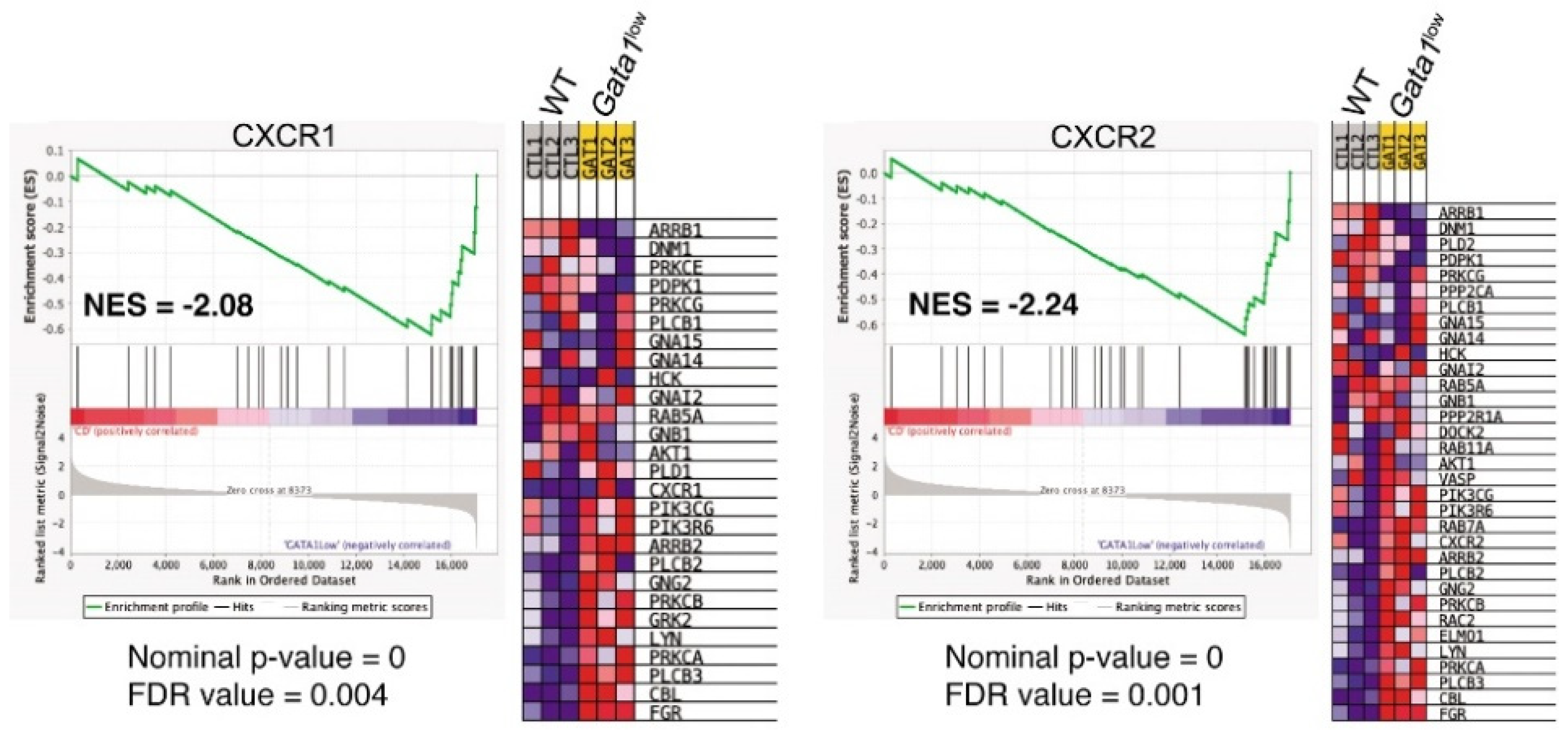 Biomolecules 12 00234 g007 Biomolecules 12 00234 g007