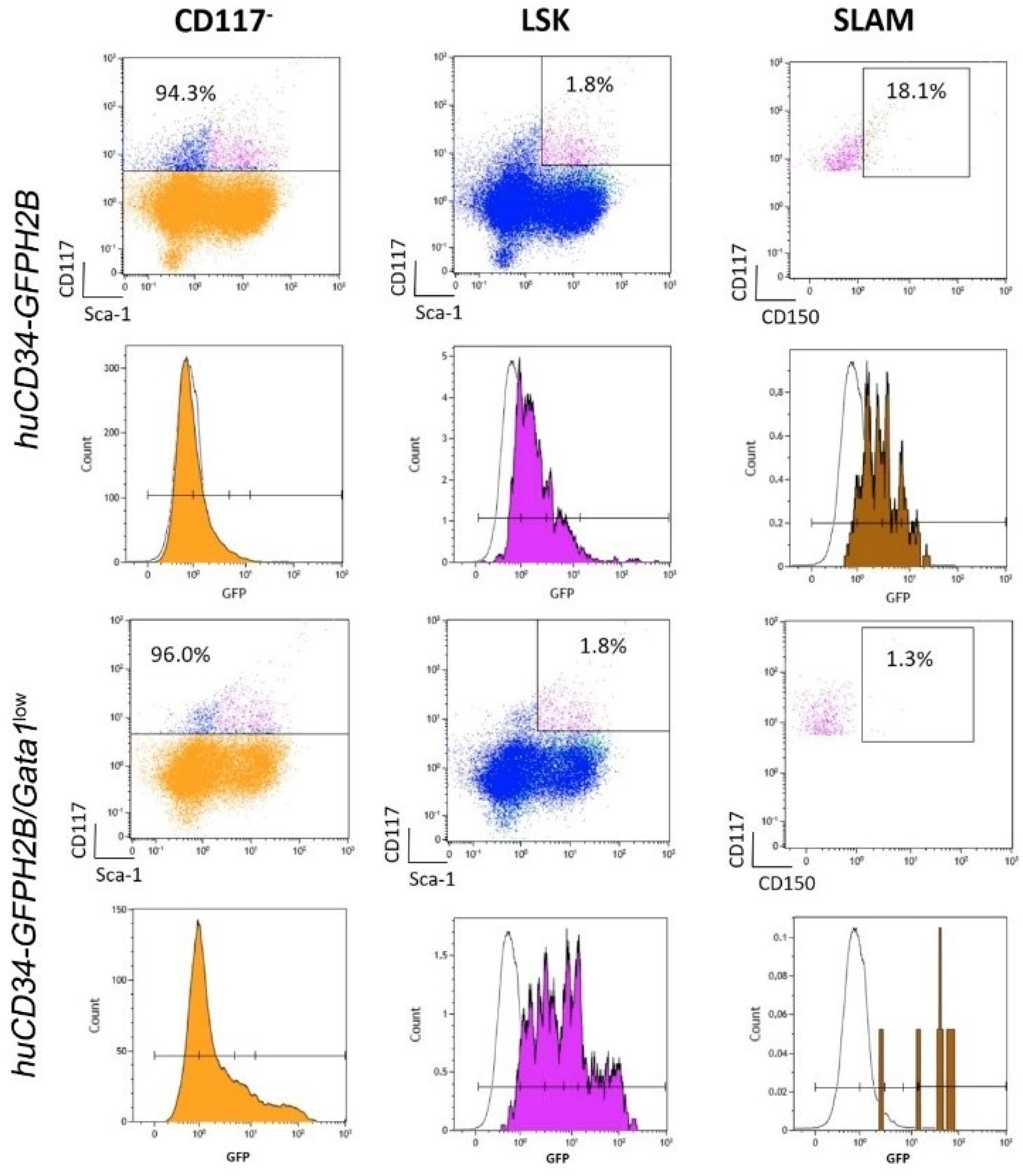 Biomolecules 12 00234 g008 Biomolecules 12 00234 g008