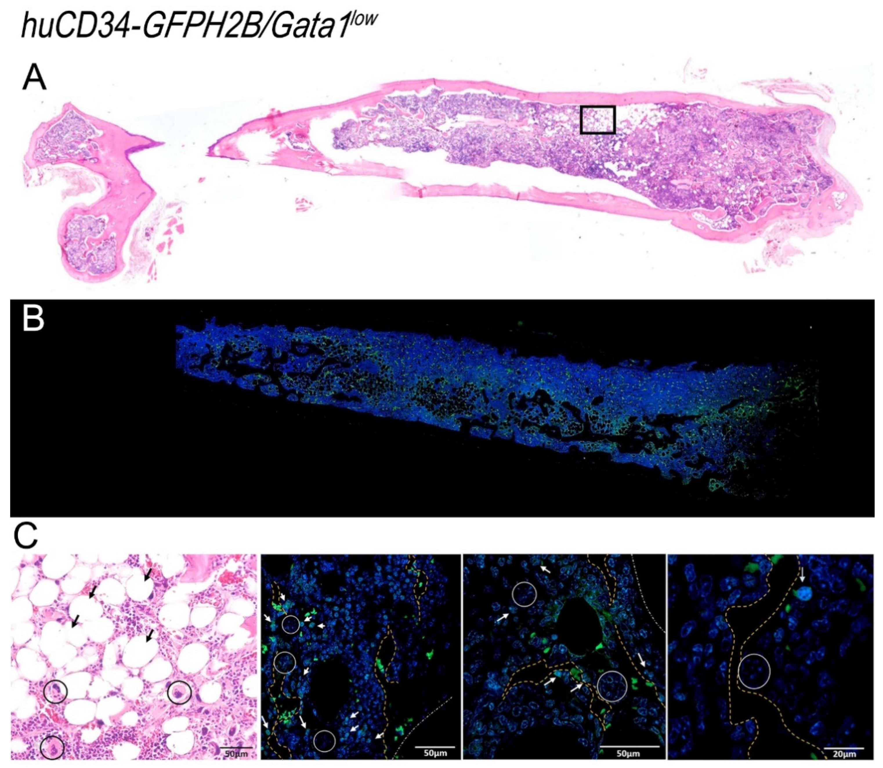 Biomolecules 12 00234 g010 Biomolecules 12 00234 g010