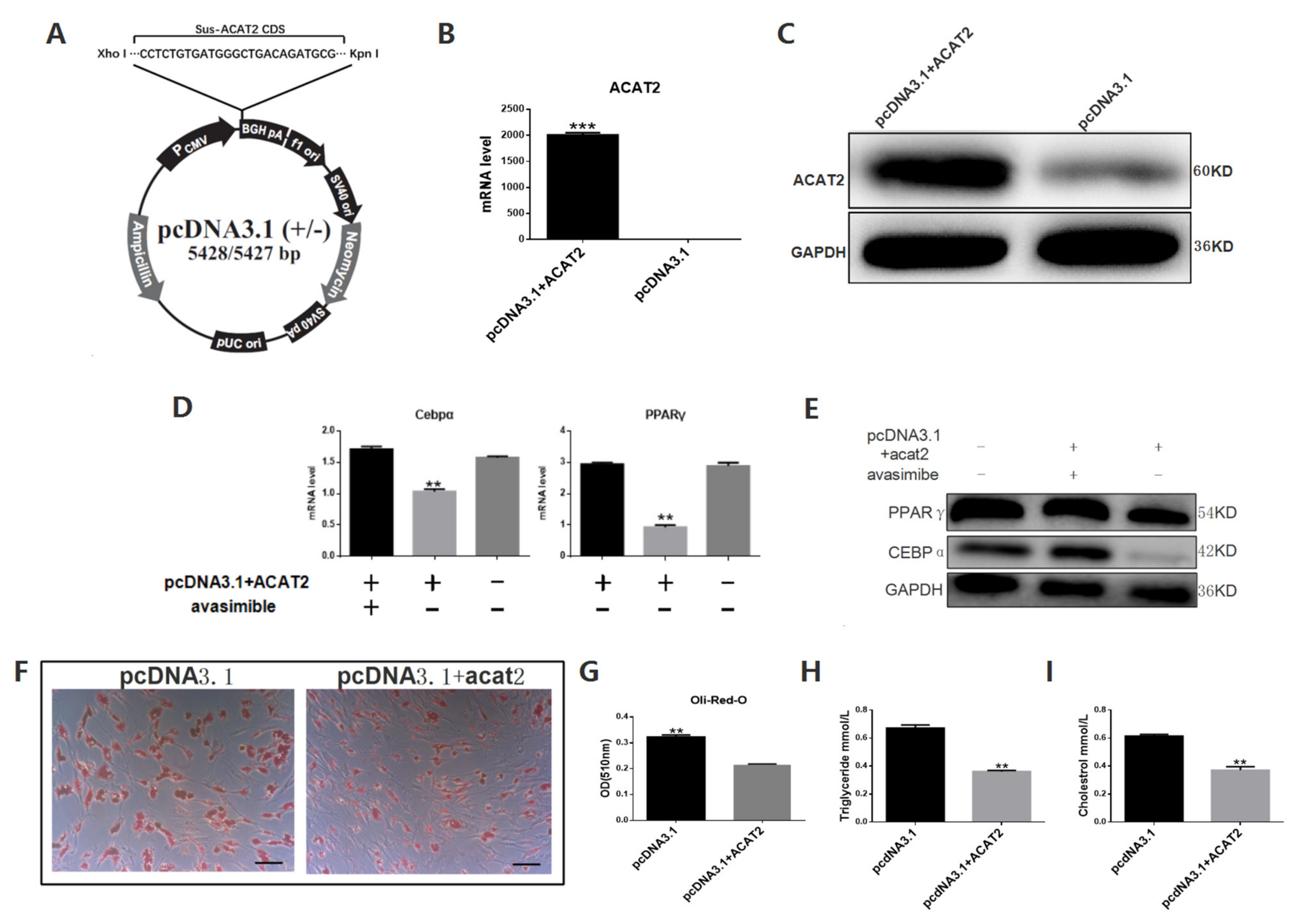 Biomolecules 12 00237 g004