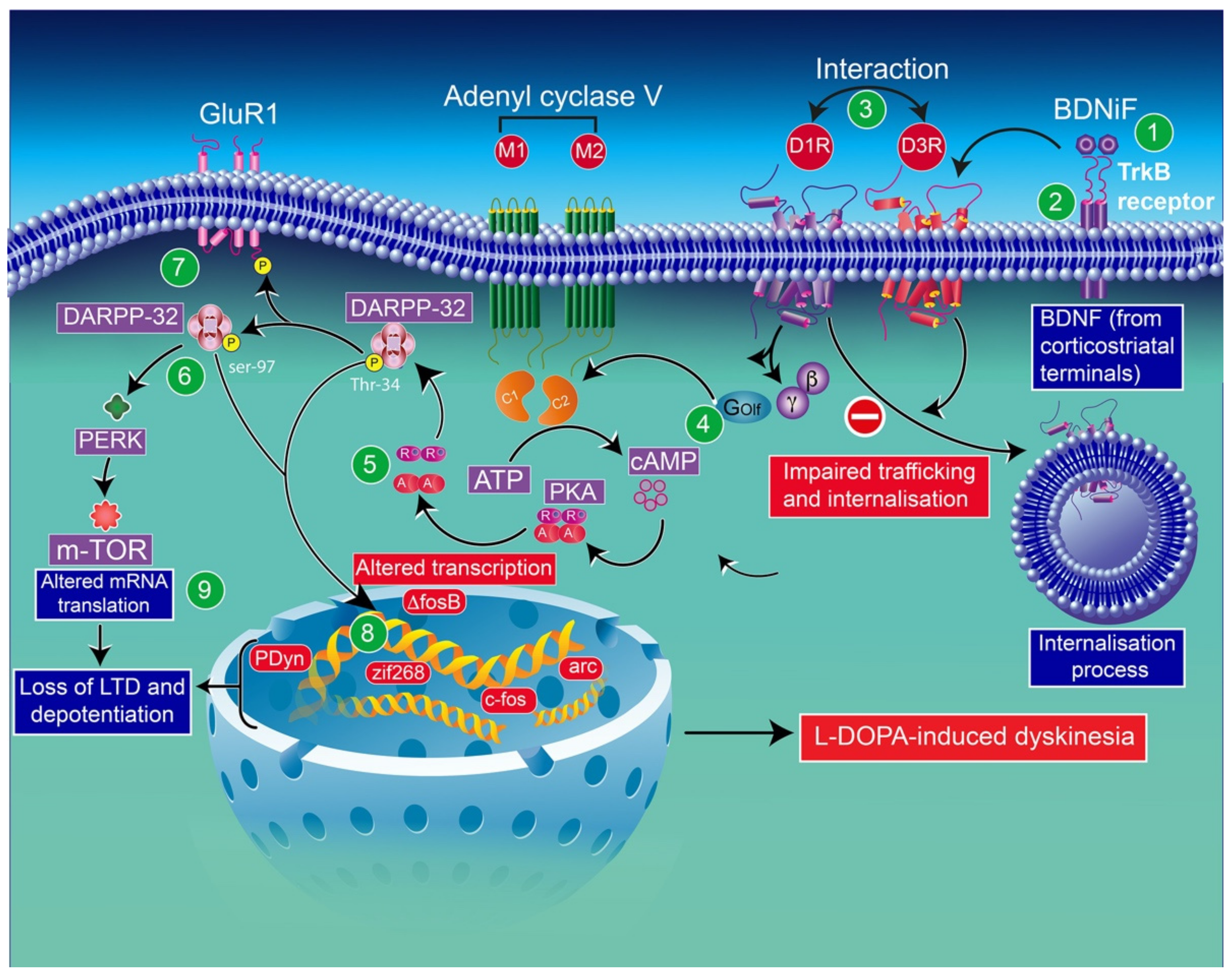 Biomolecules 12 00243 g003