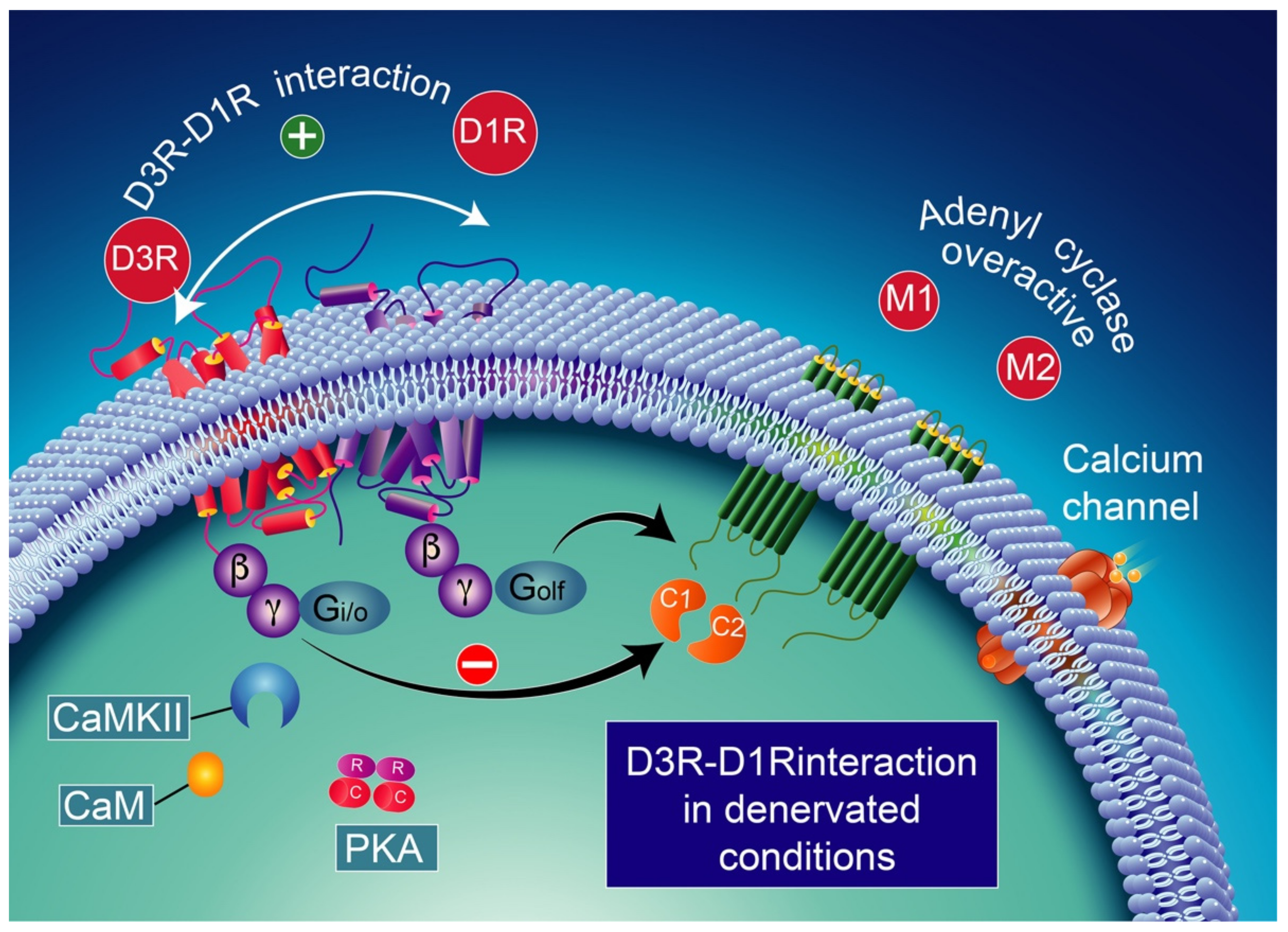 Biomolecules 12 00243 g006