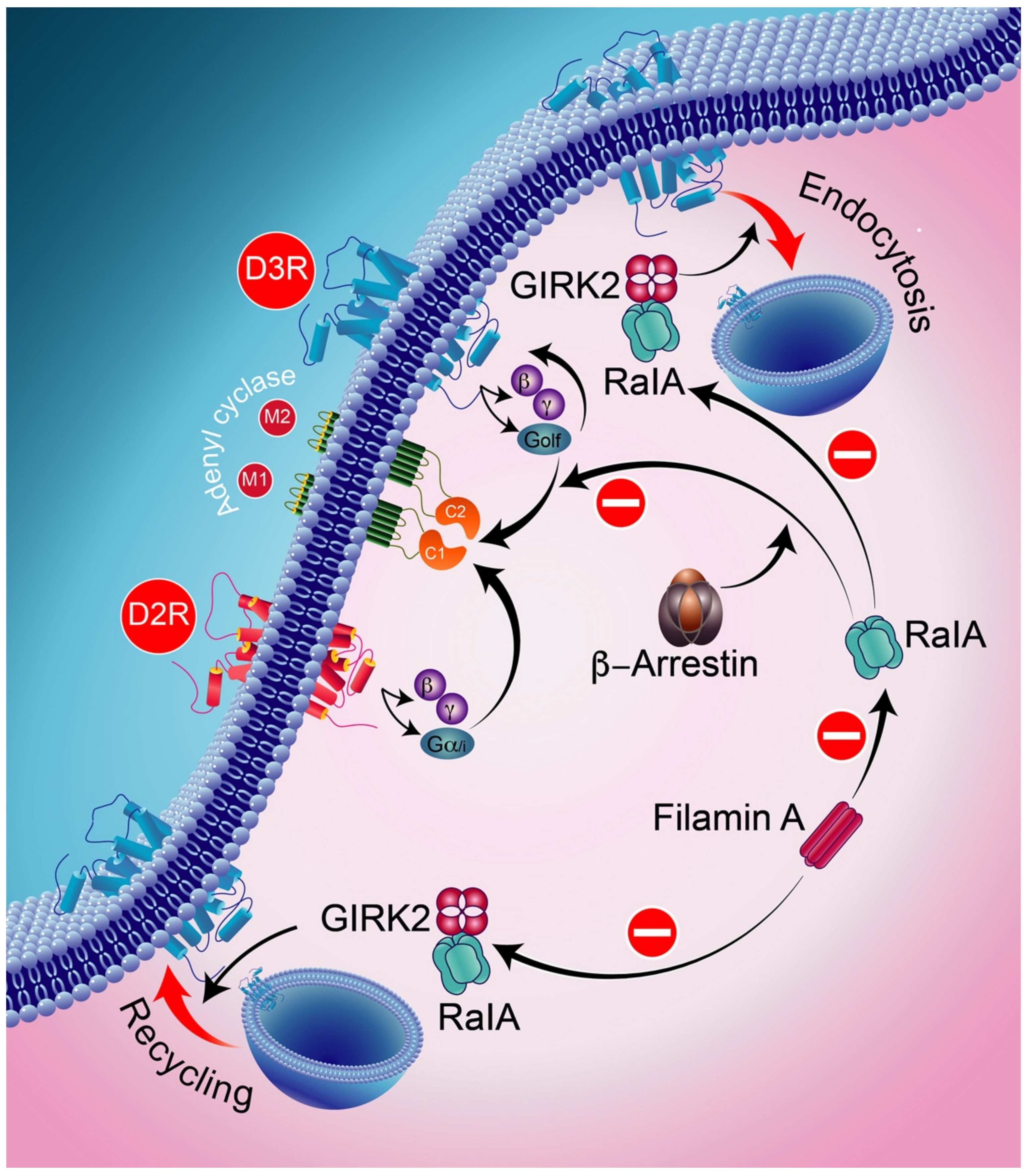 Biomolecules 12 00243 g007