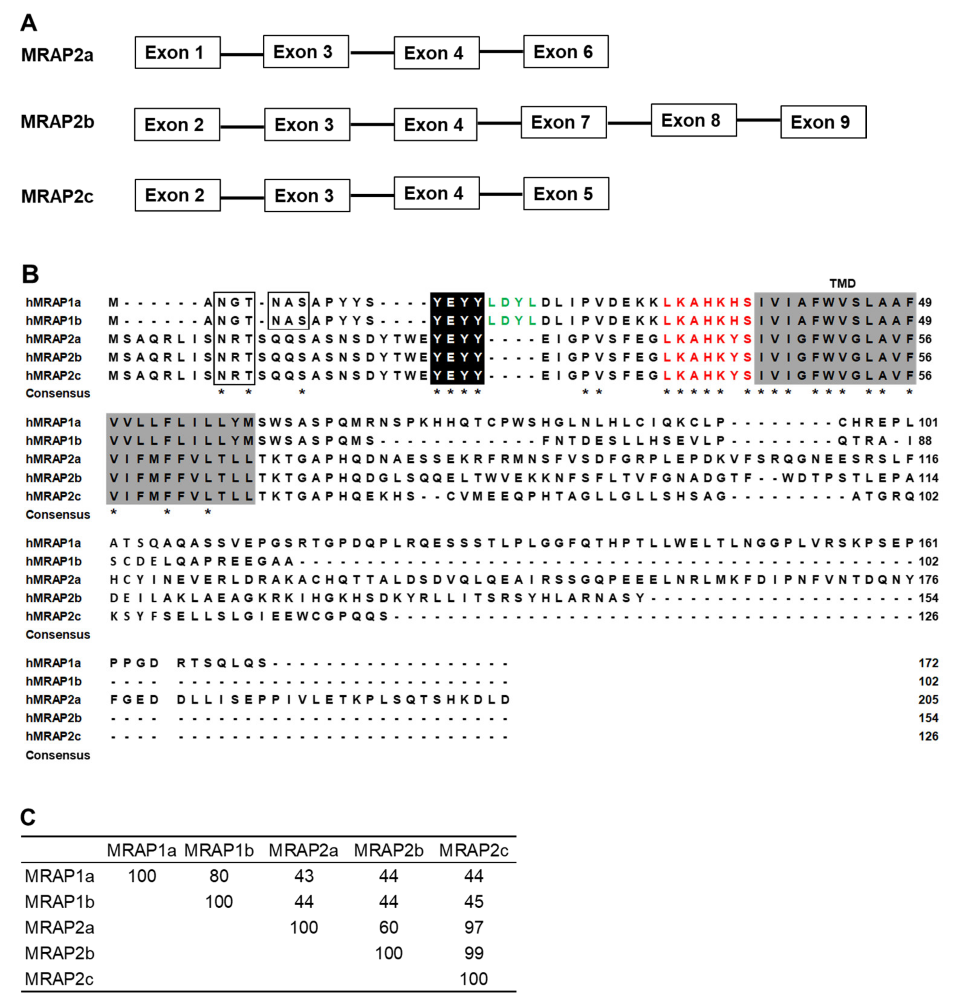 Biomolecules 12 00244 g001