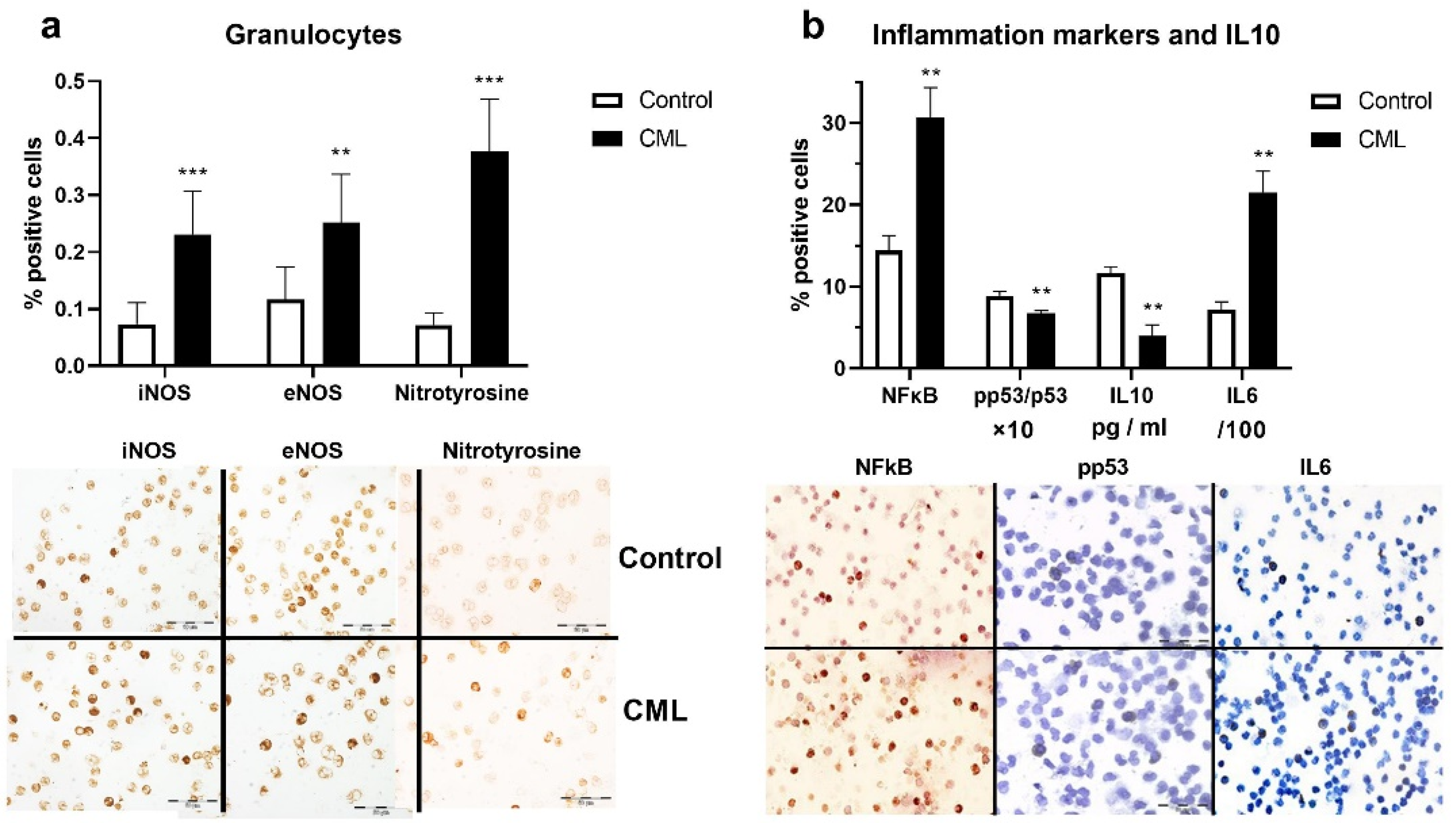 Biomolecules 12 00247 g002