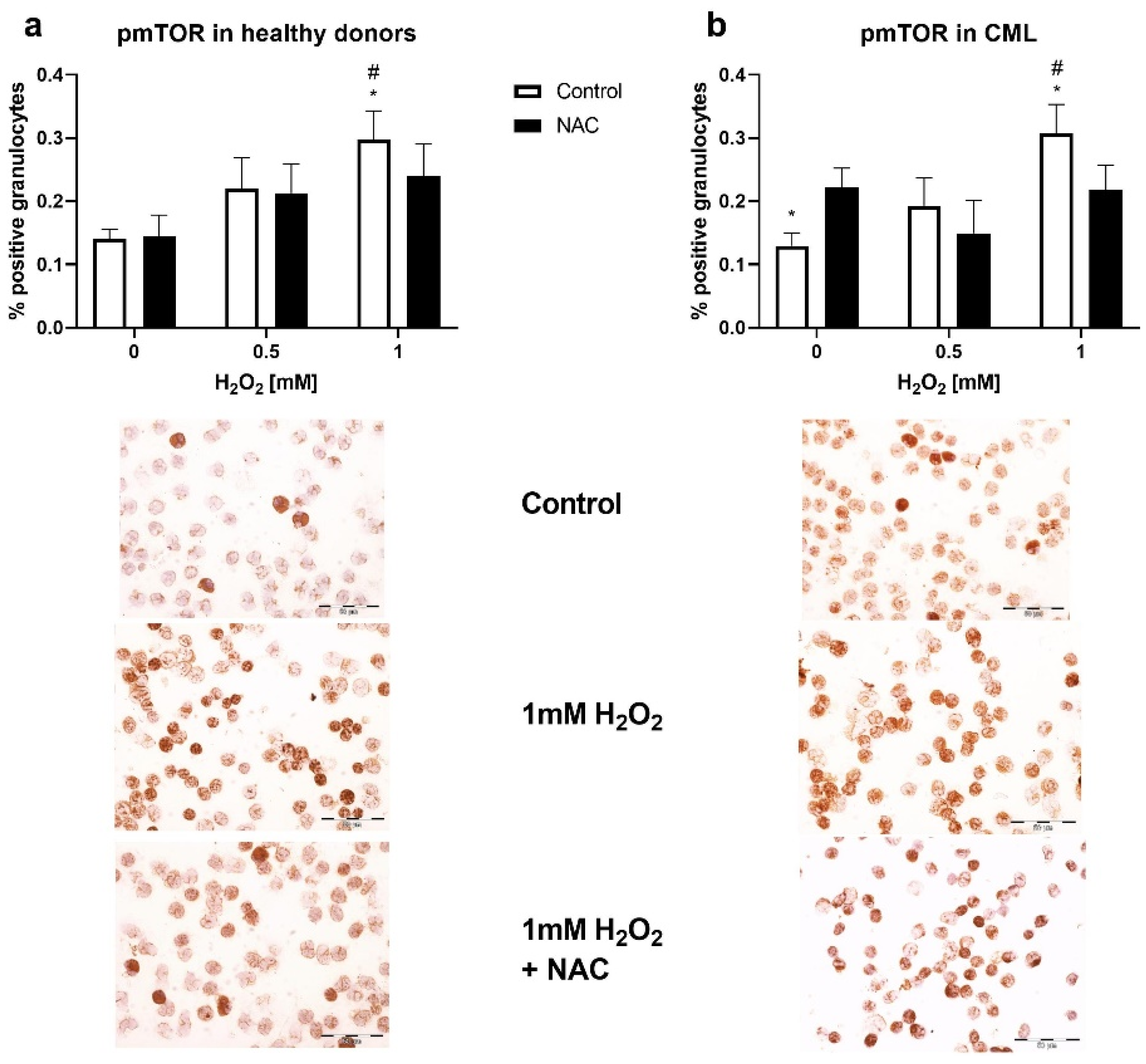 Biomolecules 12 00247 g004