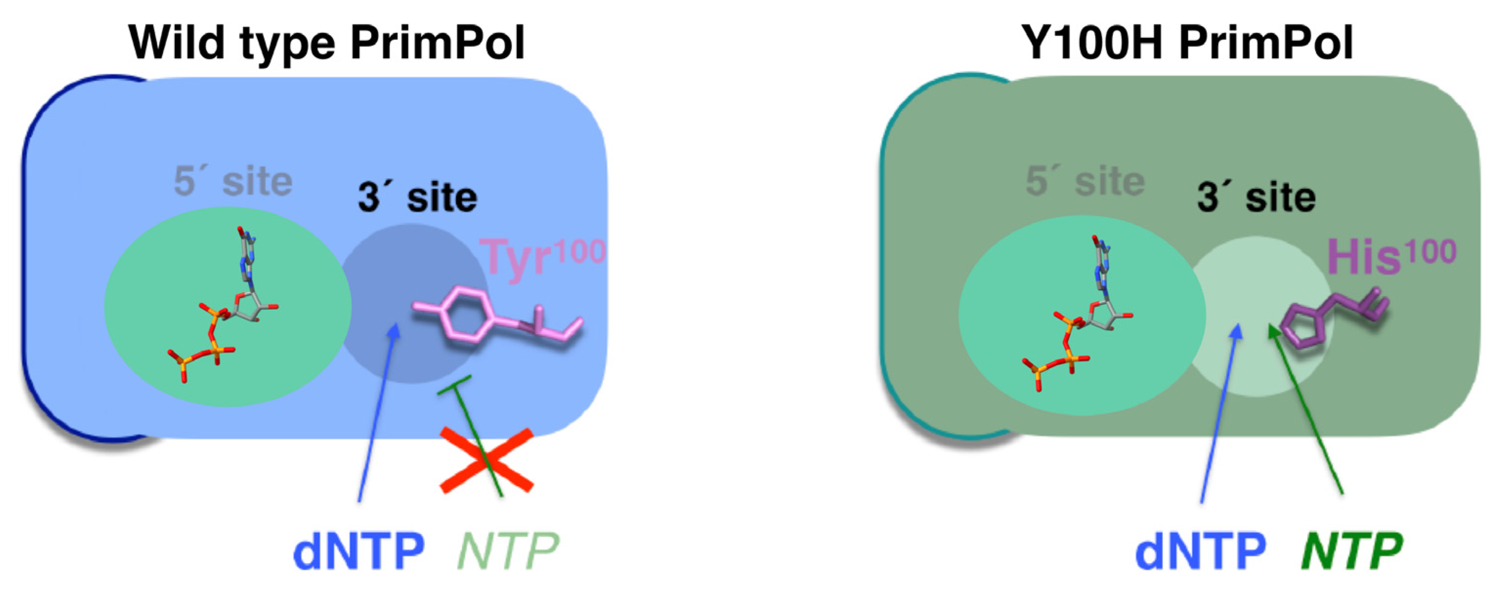 Biomolecules 12 00248 g004