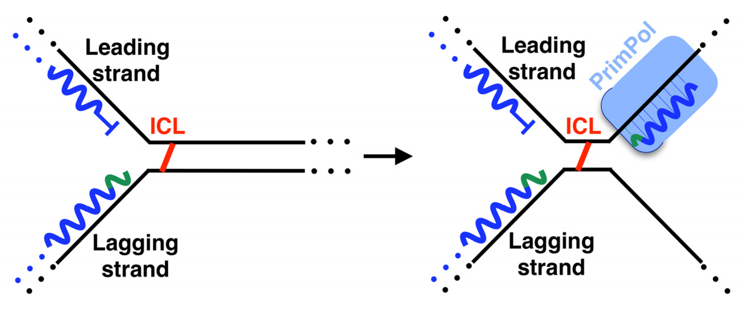 Biomolecules 12 00248 g006