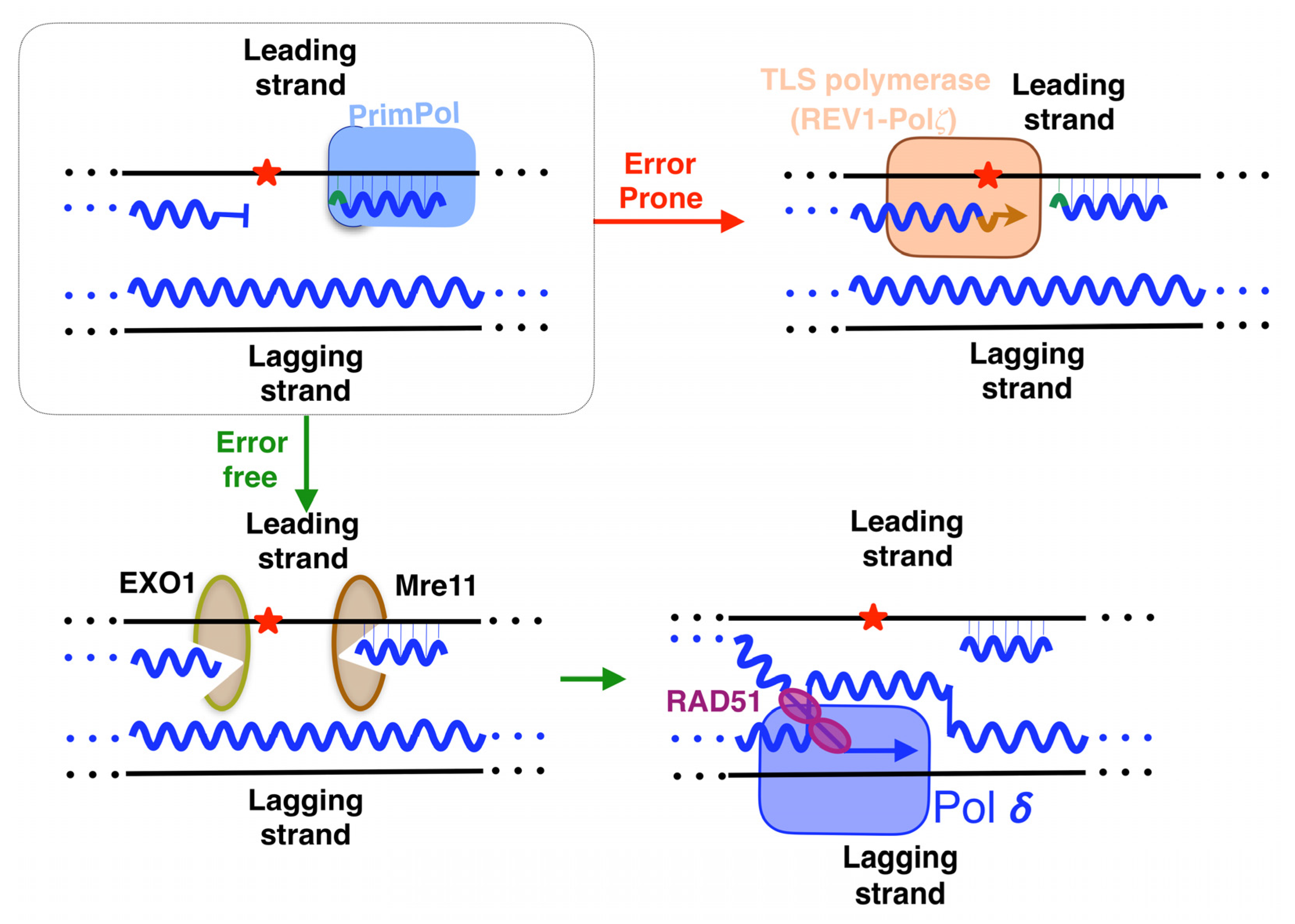 Biomolecules 12 00248 g009