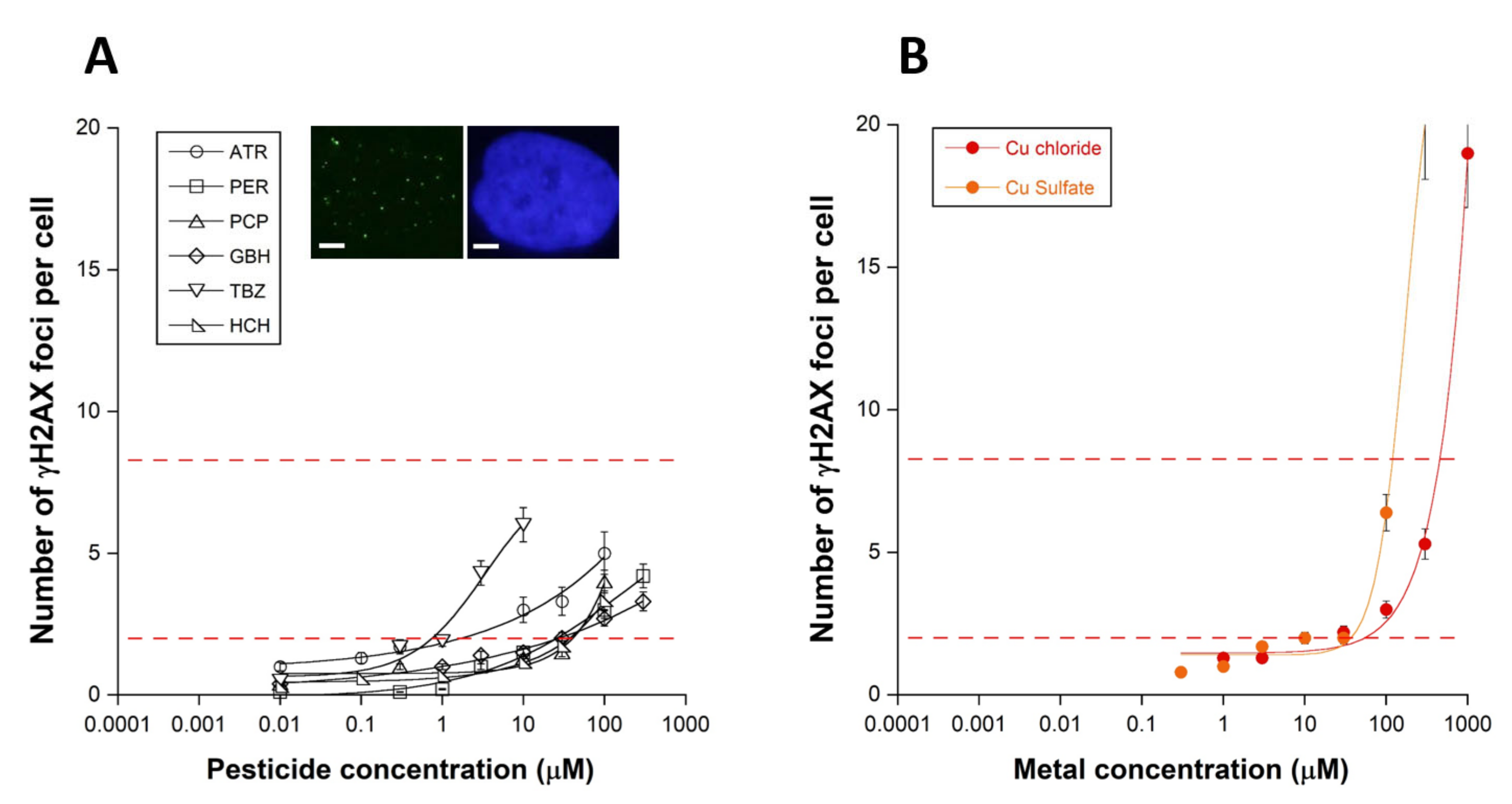 Biomolecules 12 00250 g001a