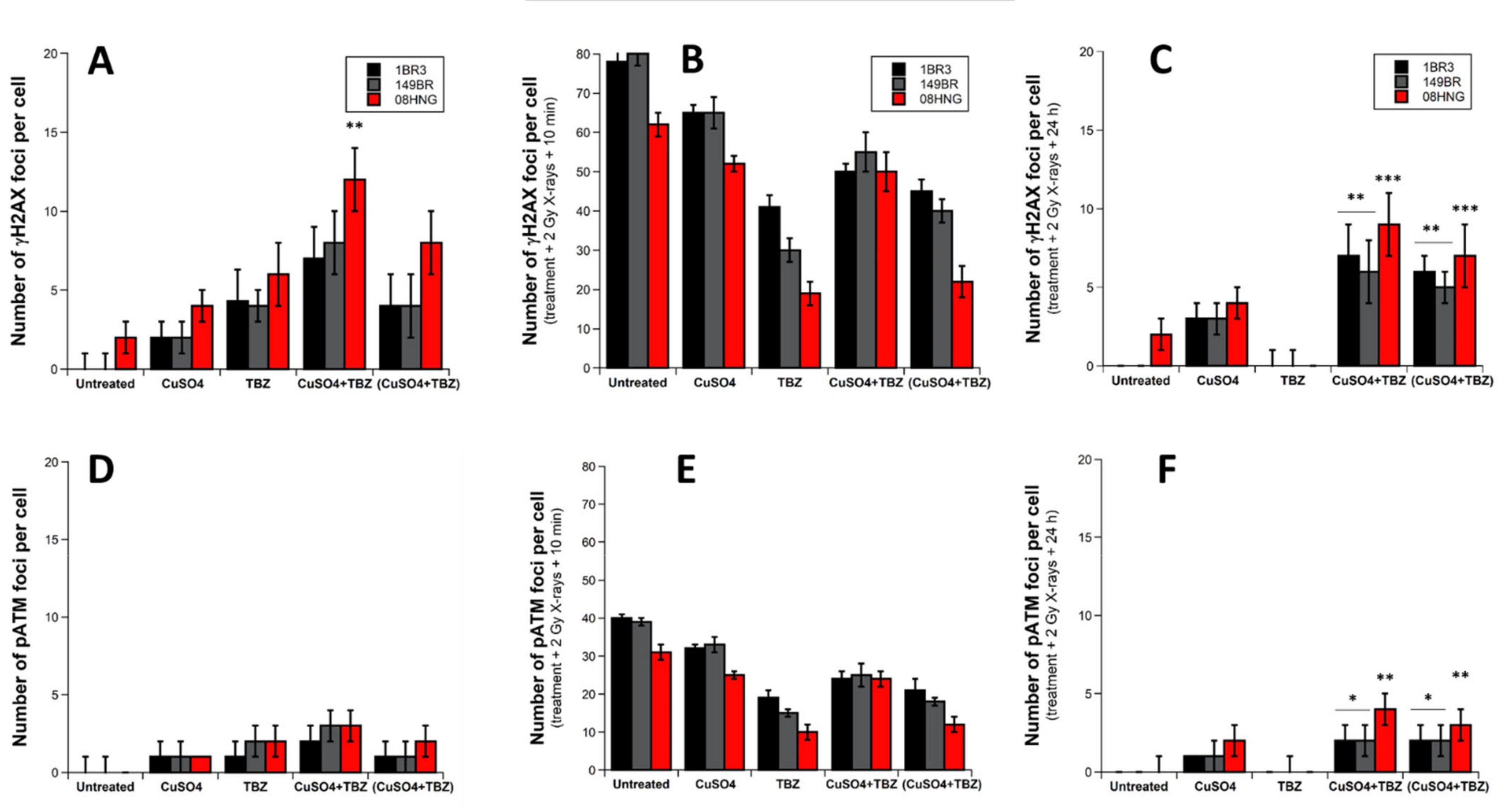 Biomolecules 12 00250 g007