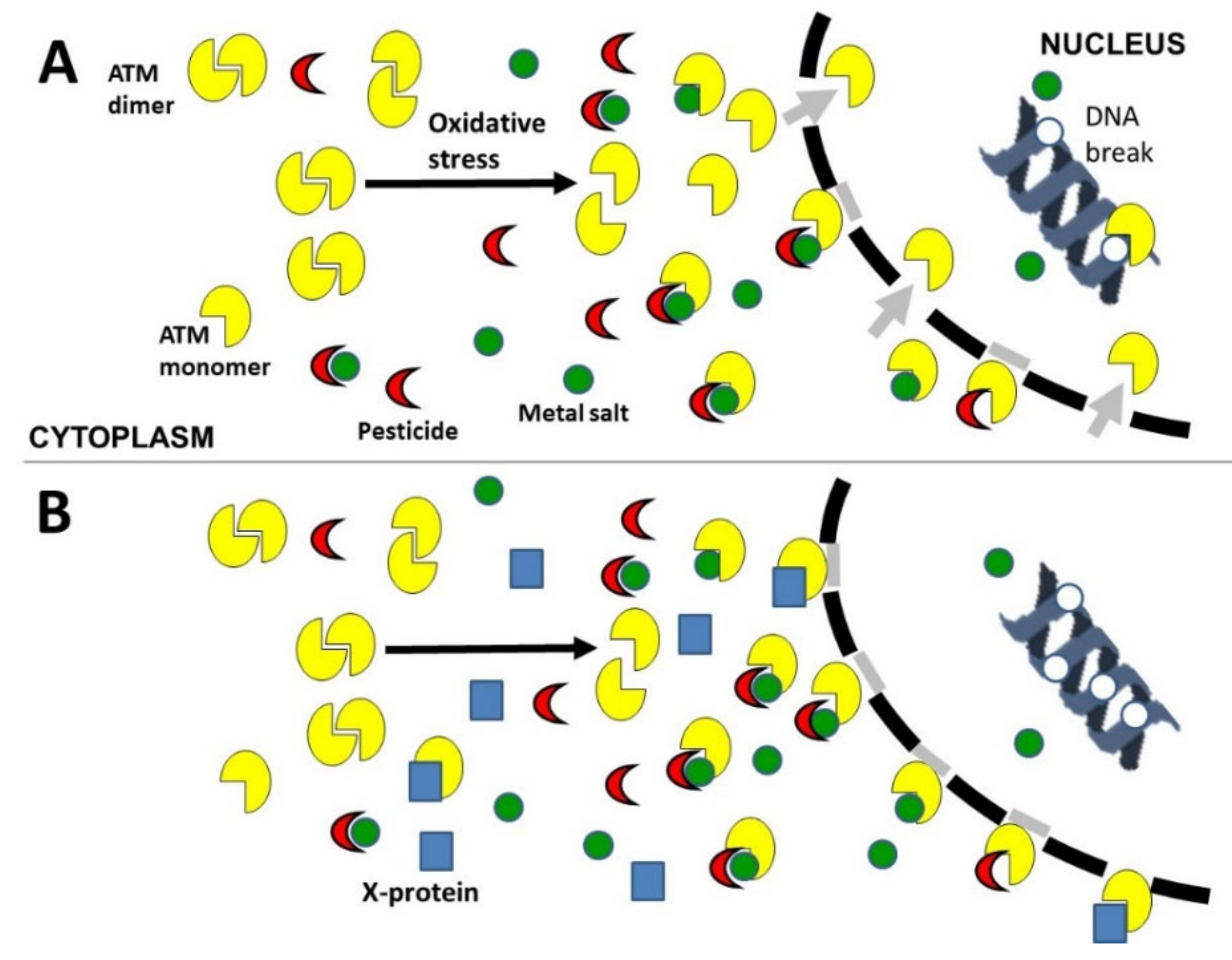 Biomolecules 12 00250 g010