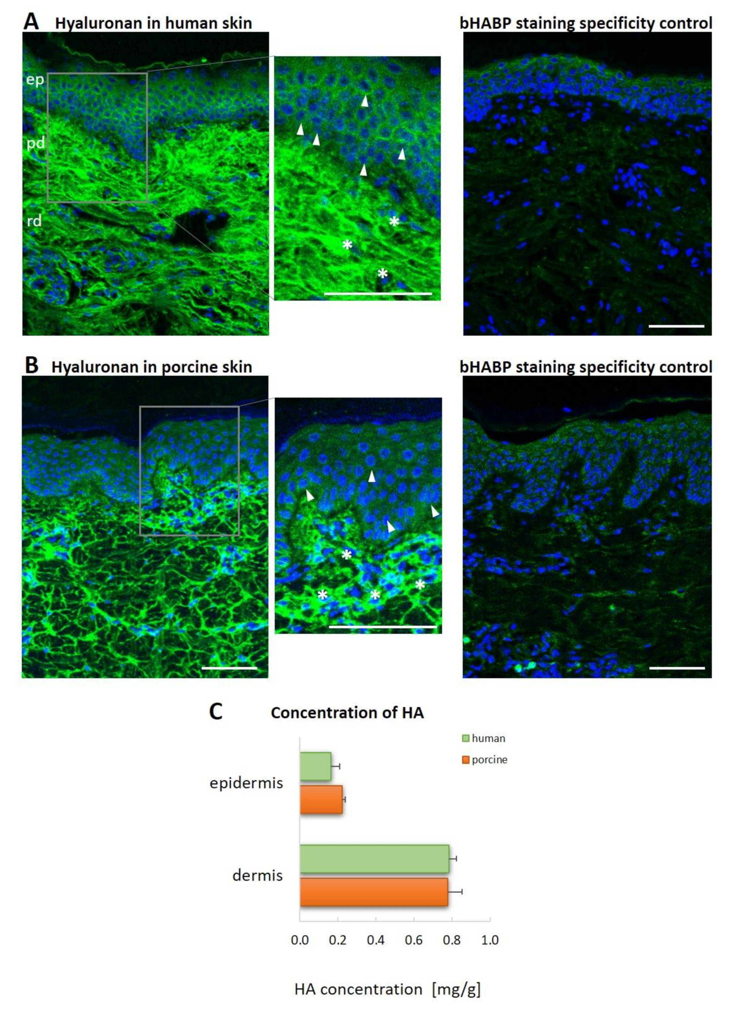 Biomolecules 12 00251 g001