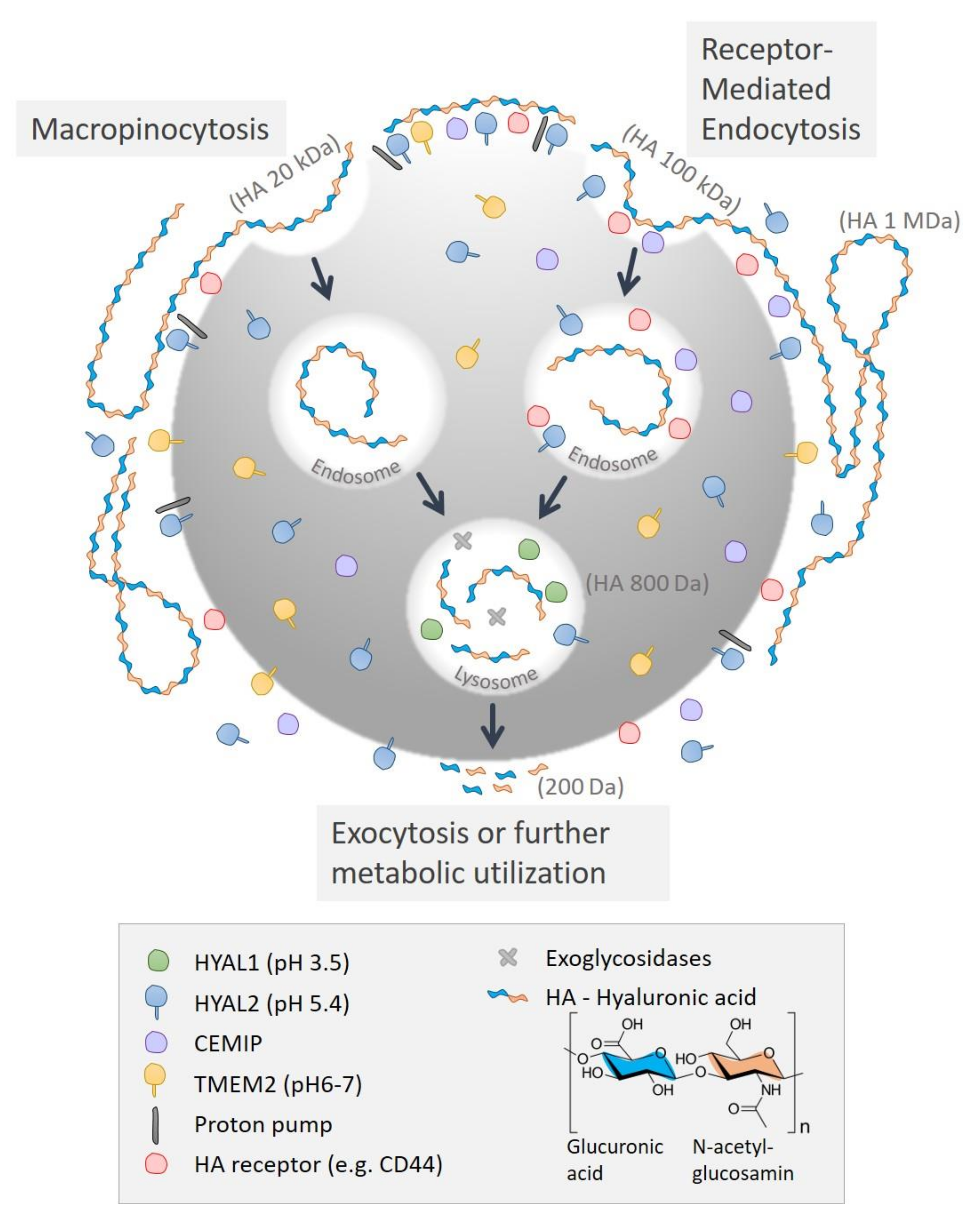 Biomolecules 12 00251 g005
