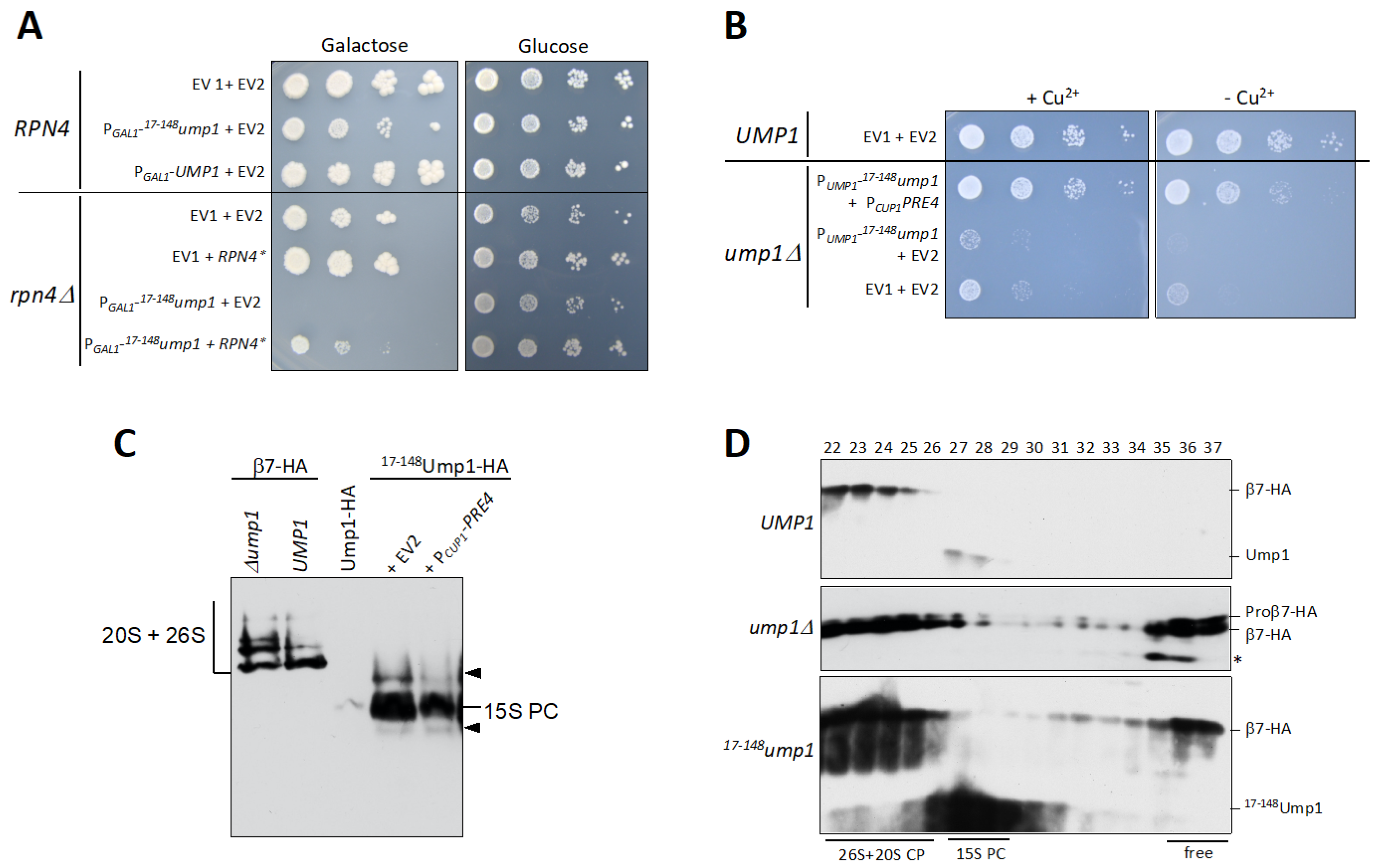 Biomolecules 12 00253 g002