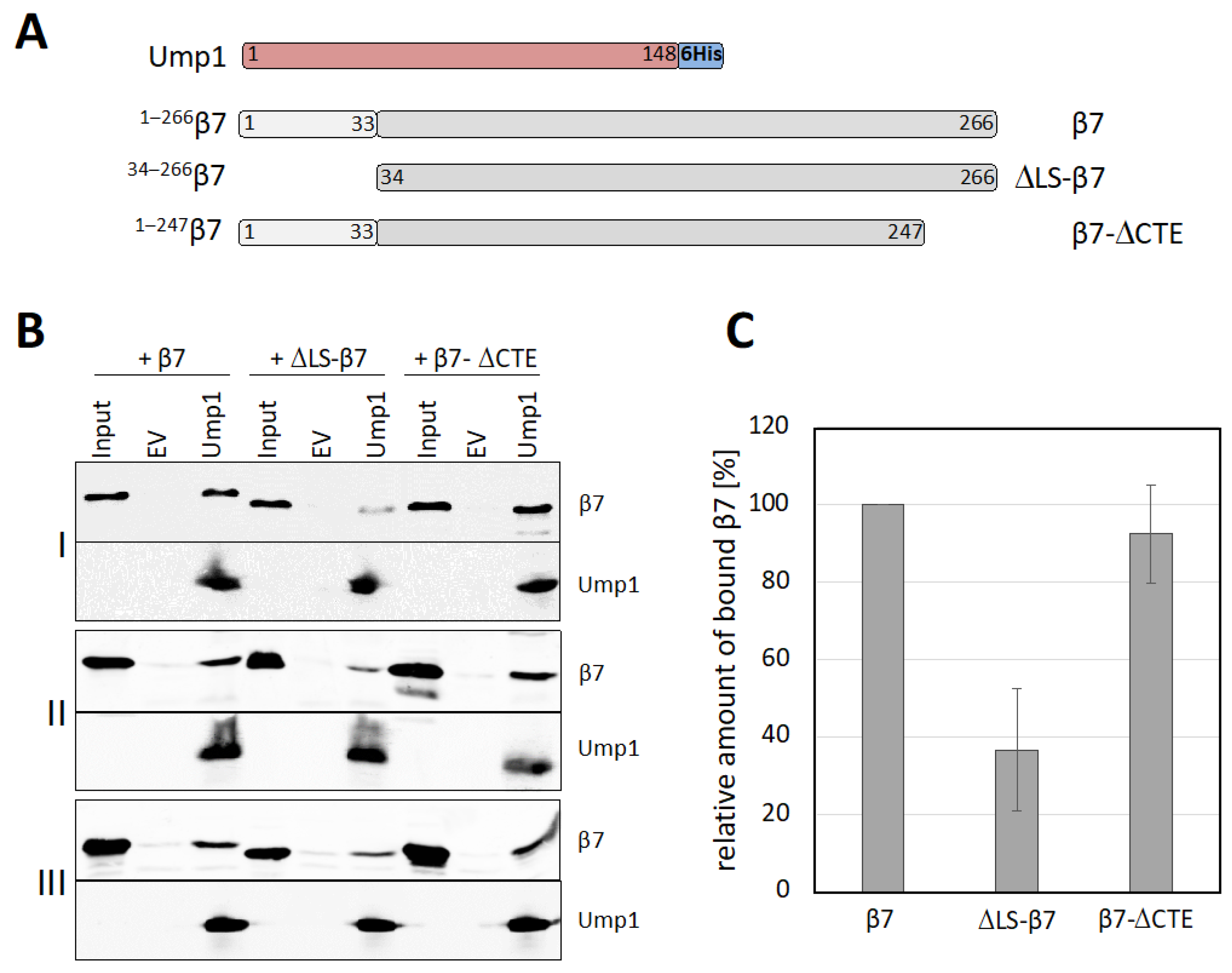 Biomolecules 12 00253 g004