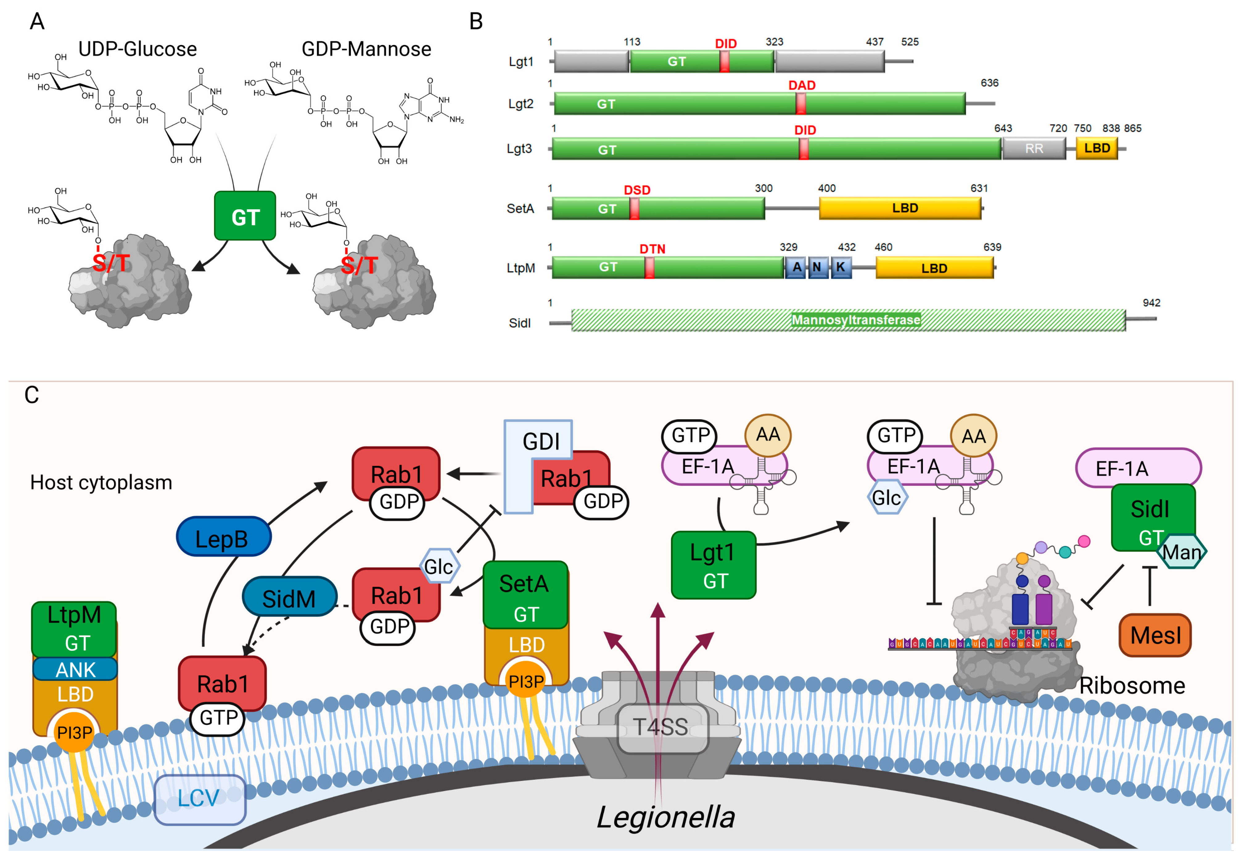 Biomolecules 12 00255 g001 Biomolecules 12 00255 g001
