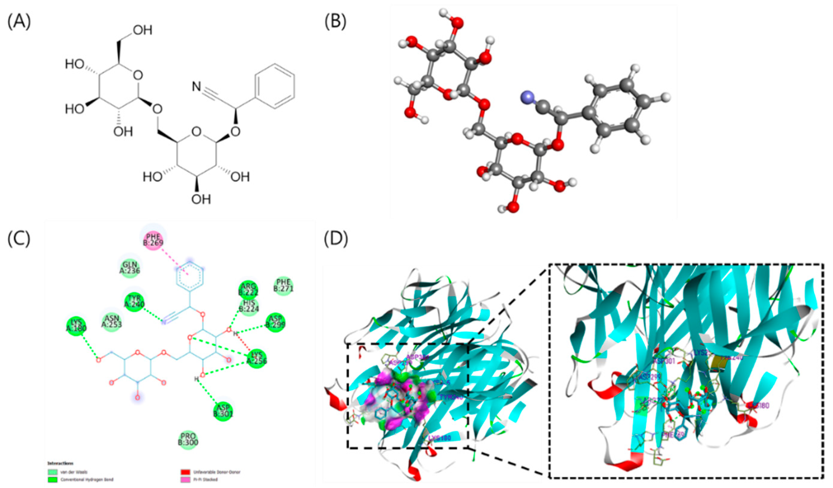 Biomolecules 12 00256 g001 550