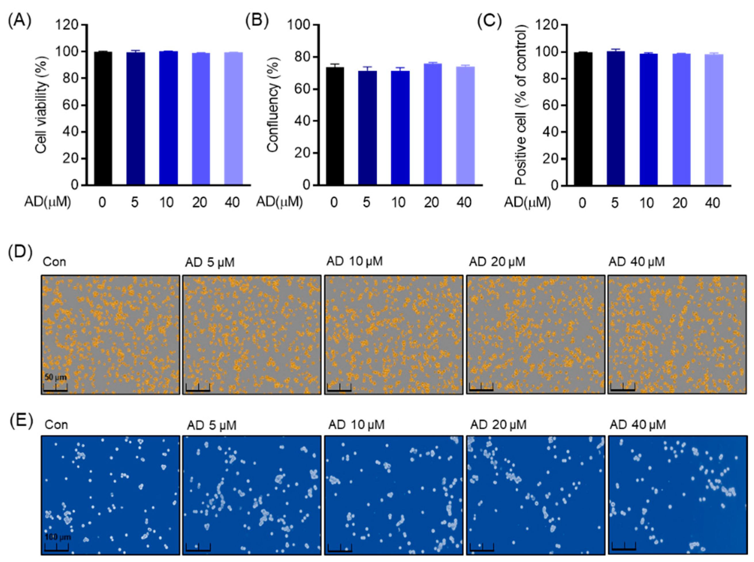 Biomolecules 12 00256 g002 550