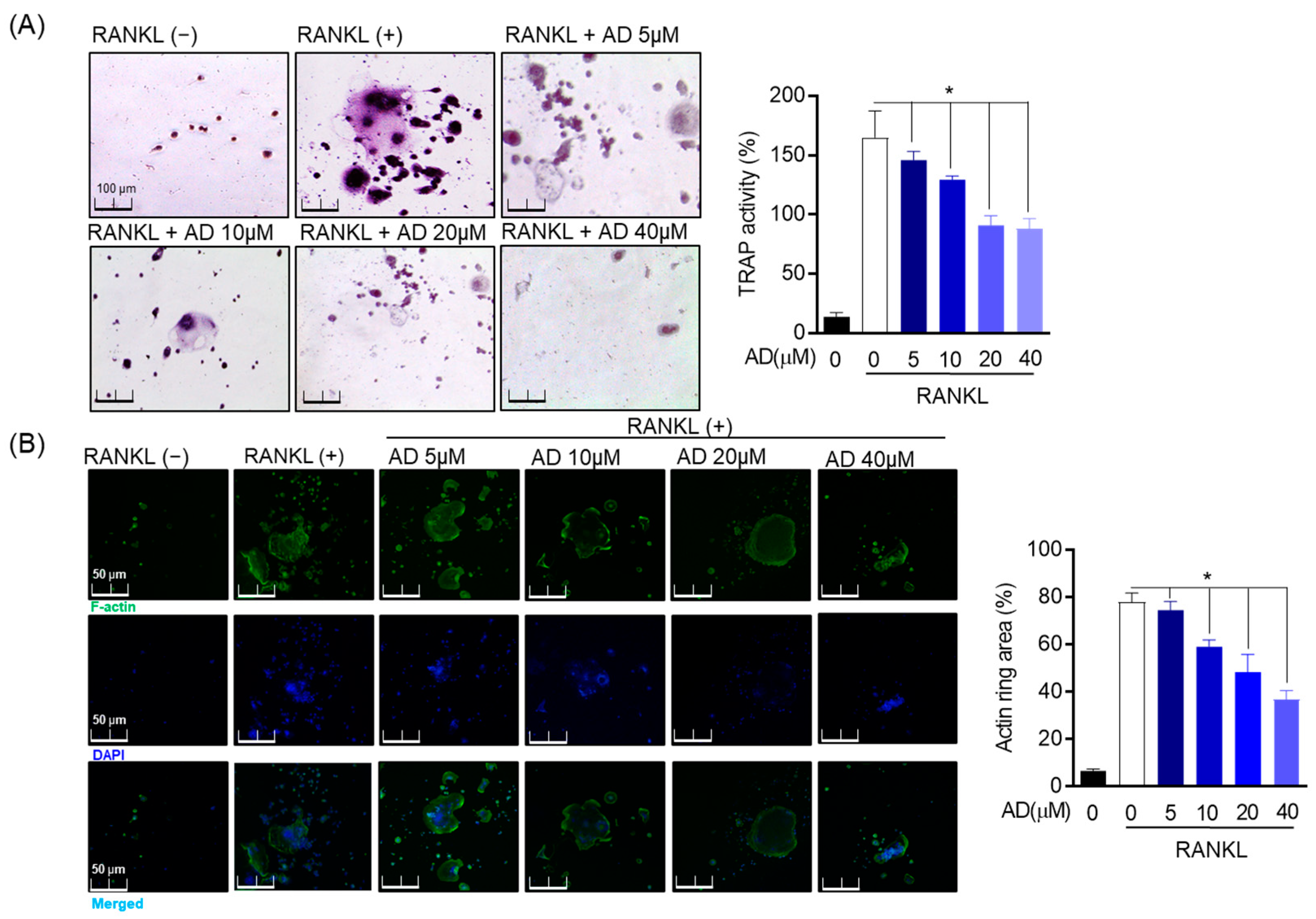 Biomolecules 12 00256 g003 550