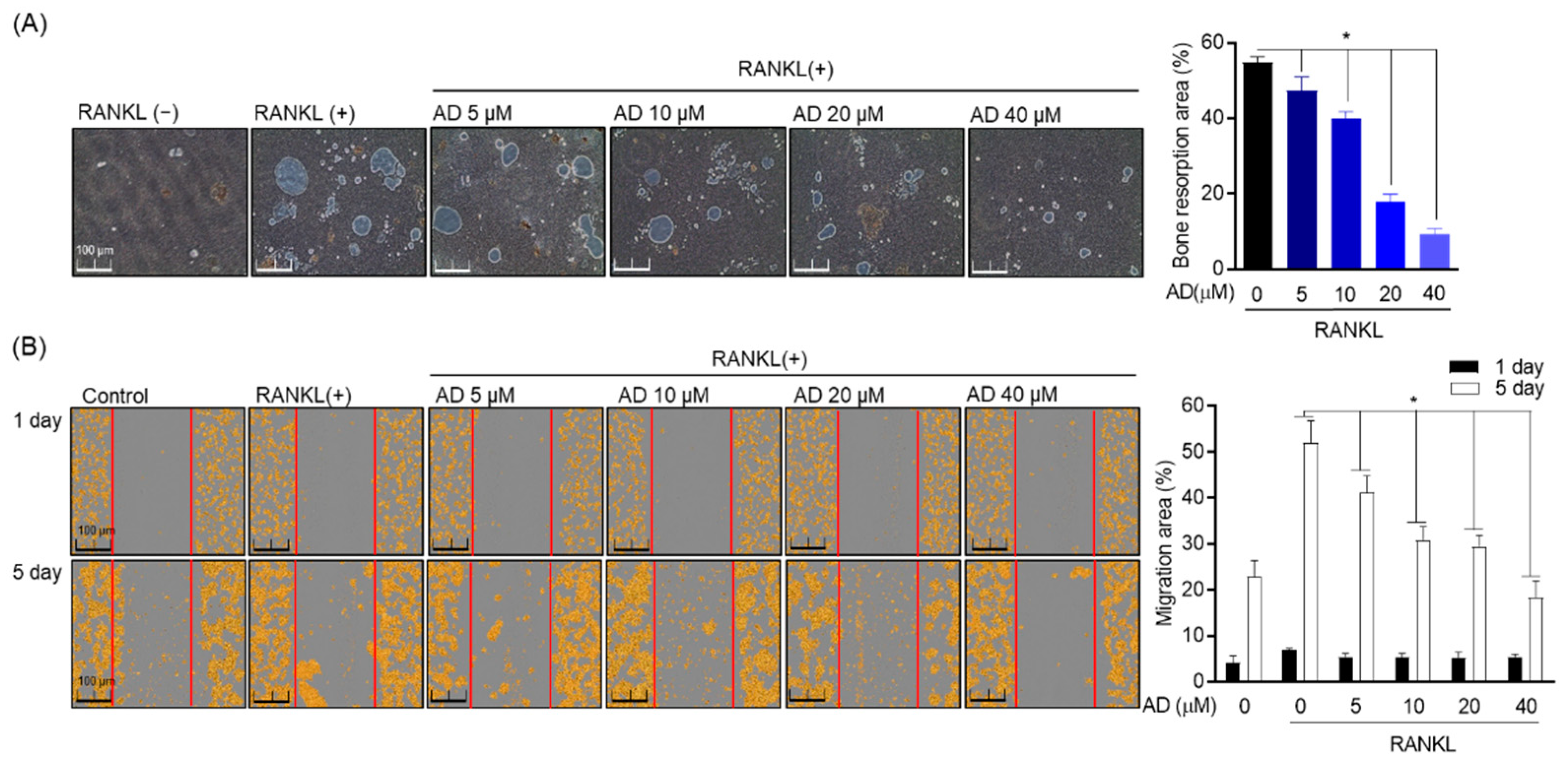 Biomolecules 12 00256 g004 550