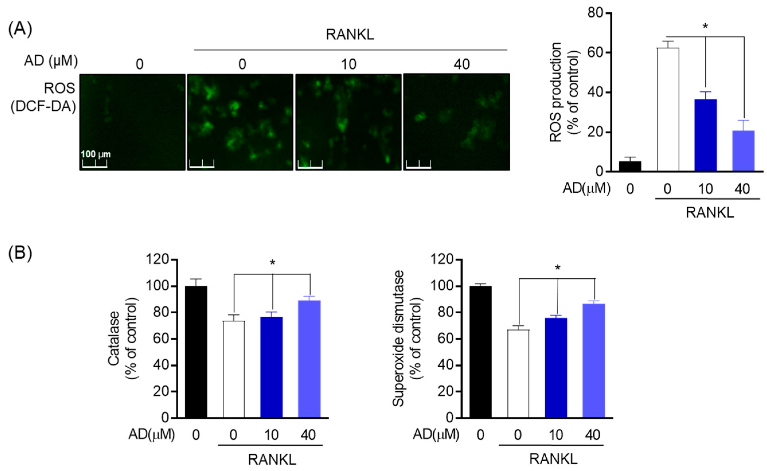Biomolecules 12 00256 g006 550
