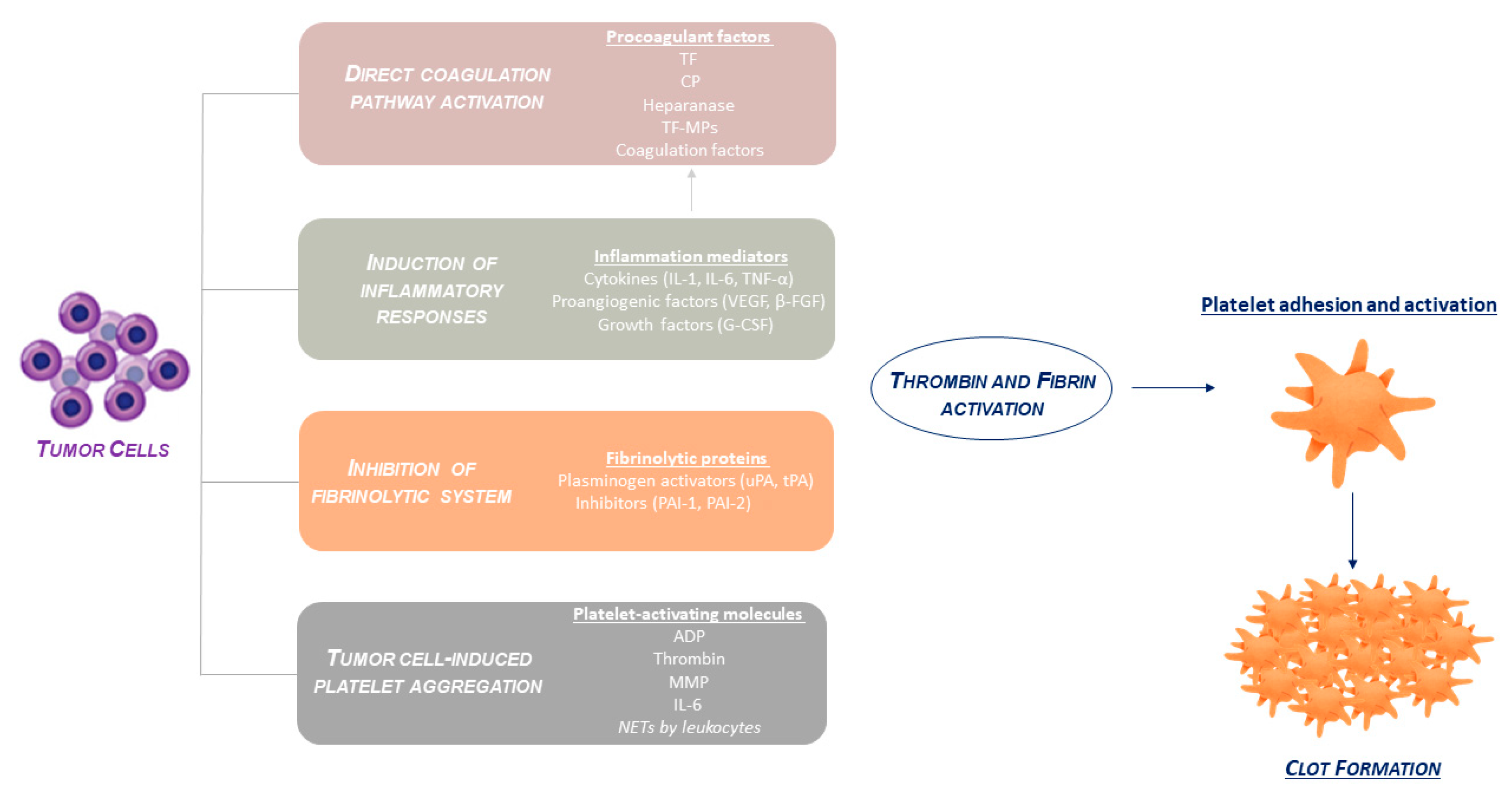 Biomolecules 12 00259 g001 550