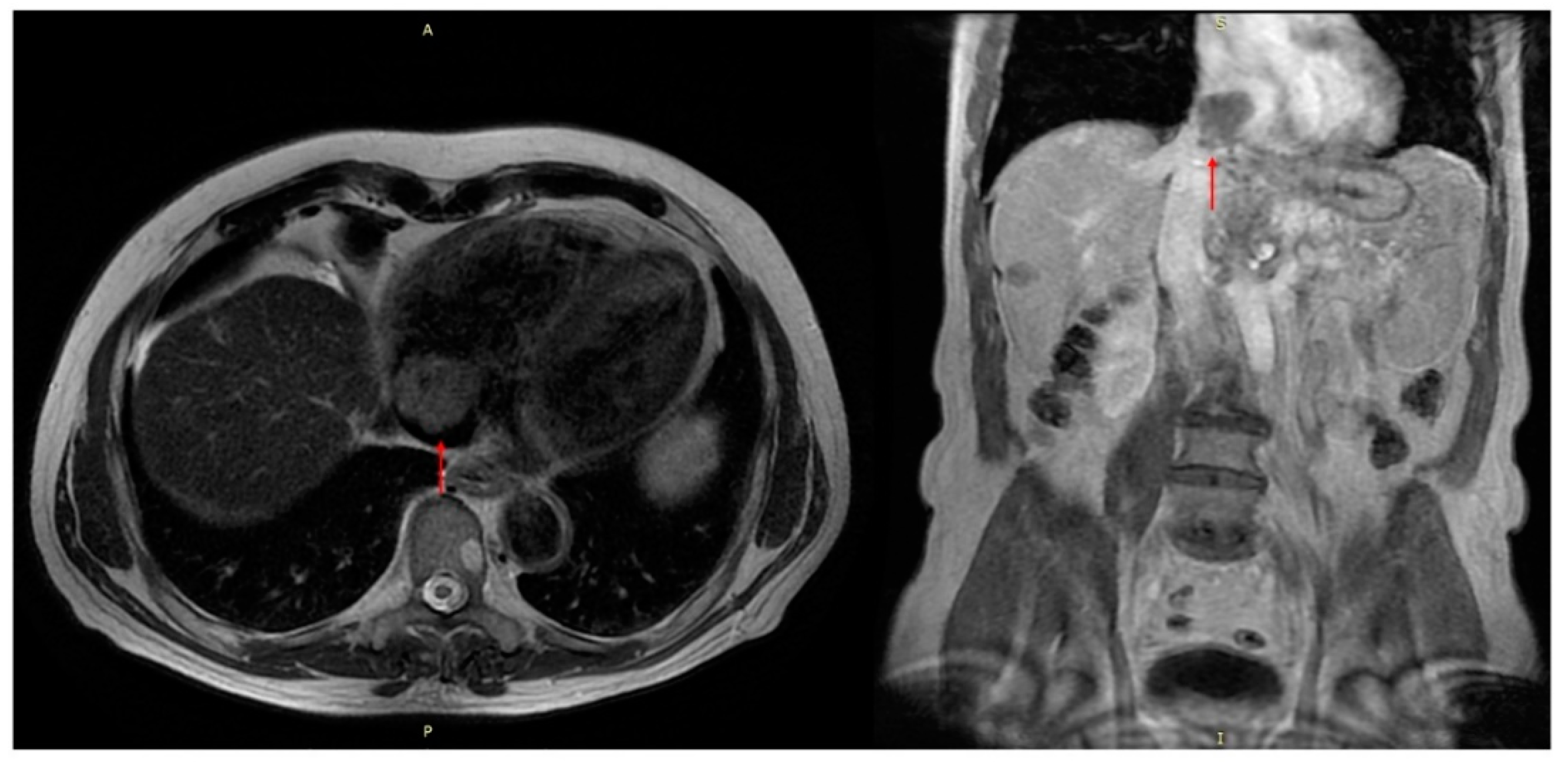 Biomolecules 12 00259 g002 550