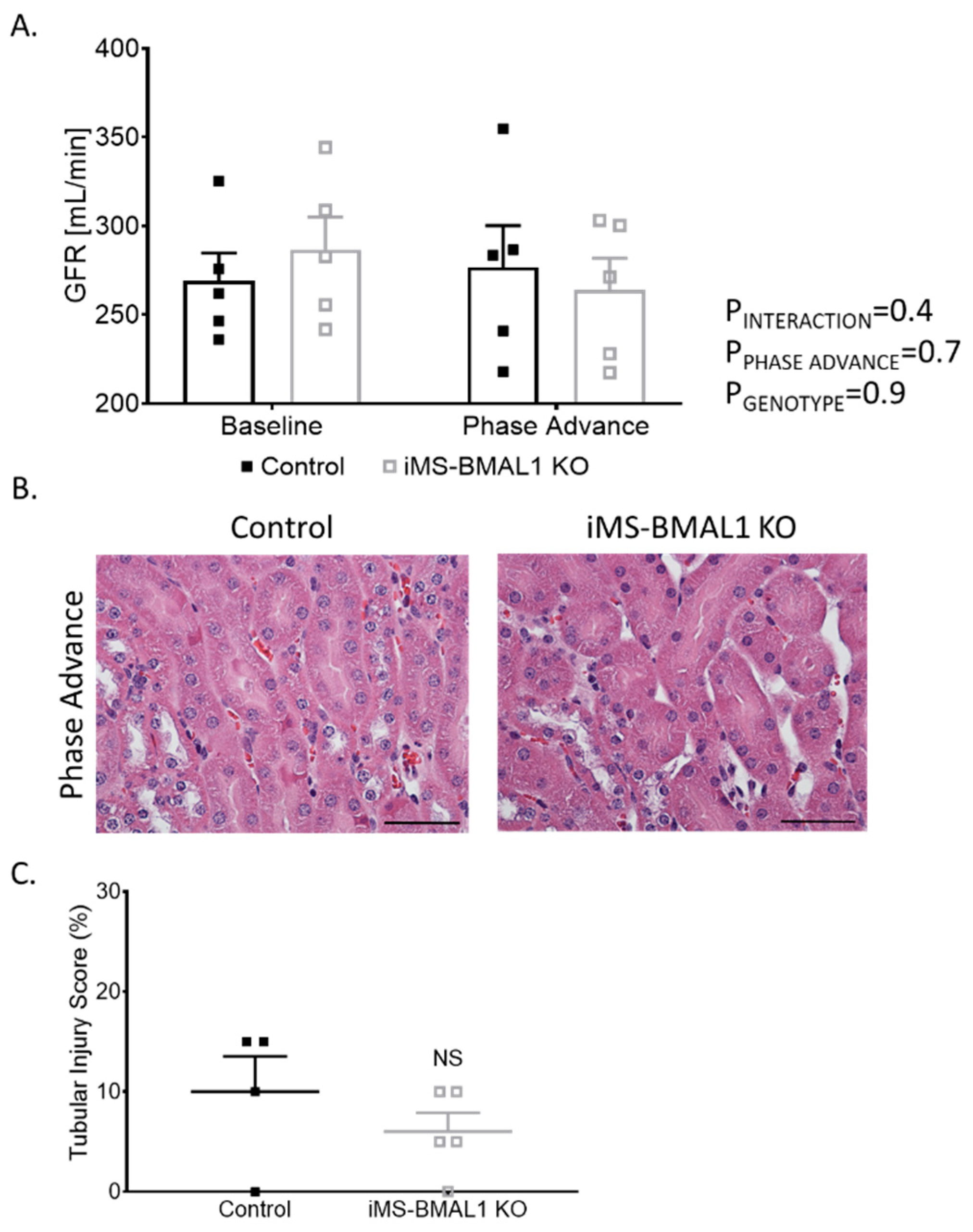 Biomolecules 12 00261 g004