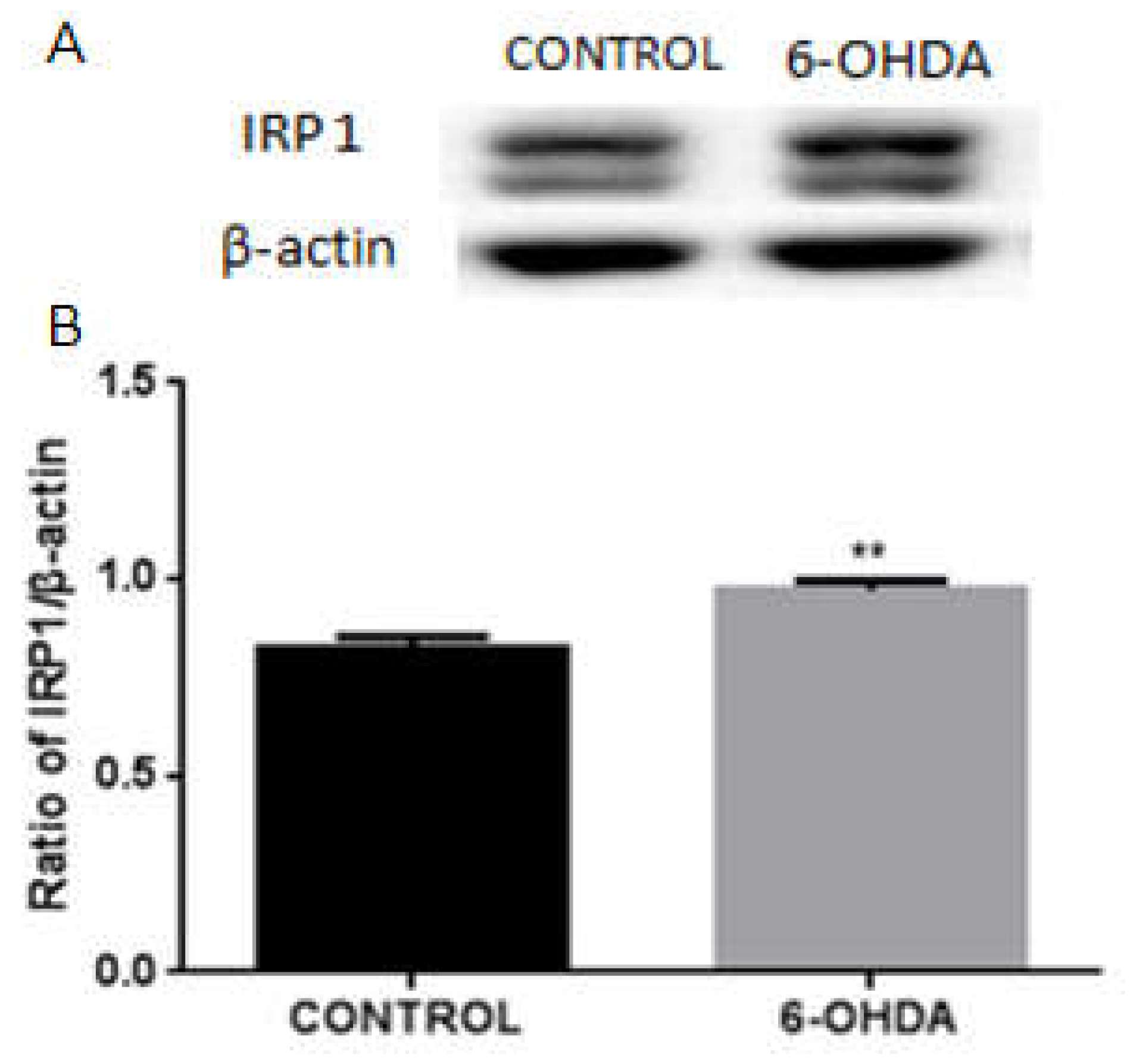Biomolecules 12 00266 g002 550