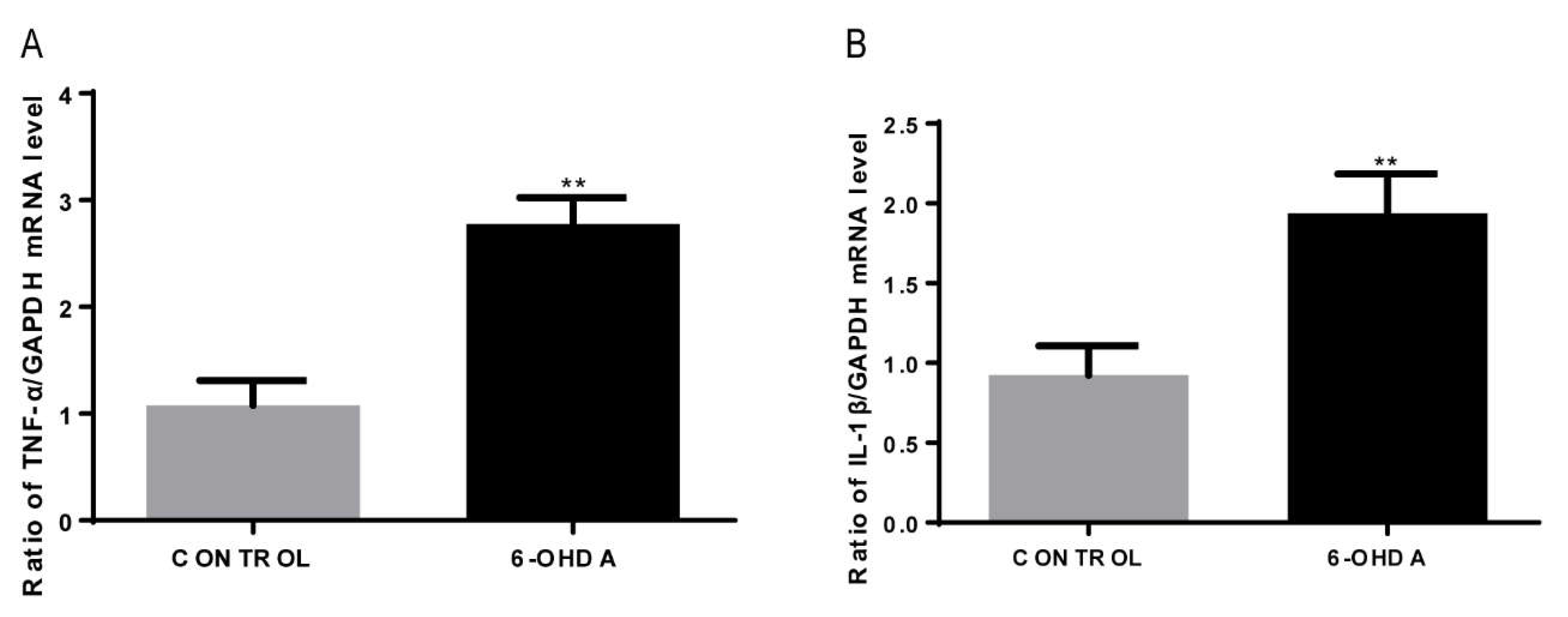 Biomolecules 12 00266 g005 550